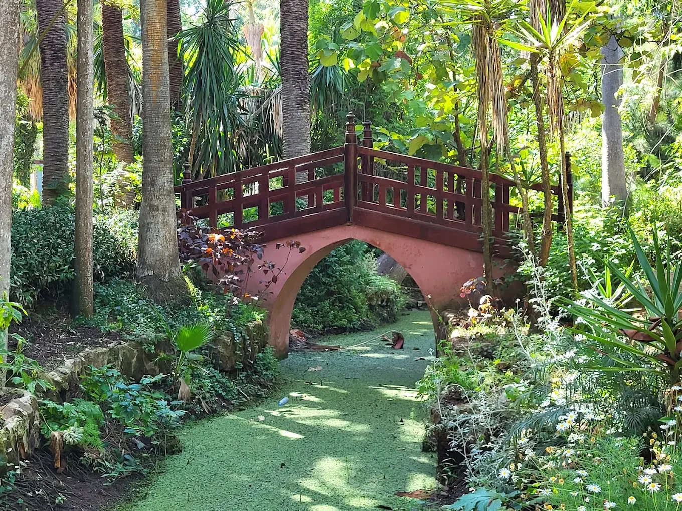 Les jardins exotiques de Rabat 