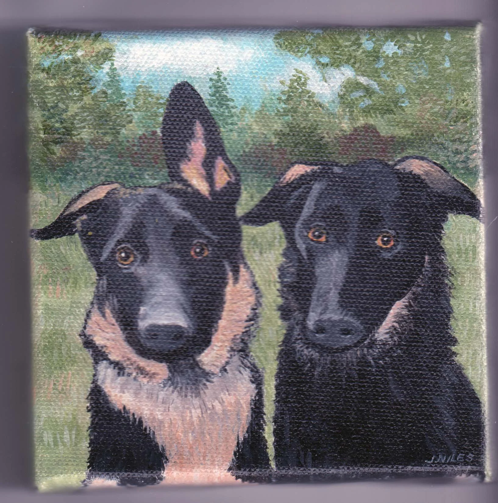 "Beautiful  - what an awesome job of catching the pups personality." 
-Suzanne B.