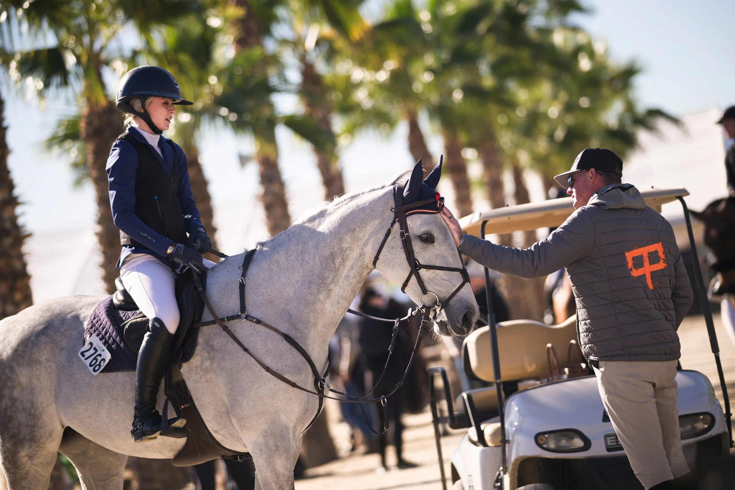 Show jumping rider training at a hunter jumper facility near Dallas Texas