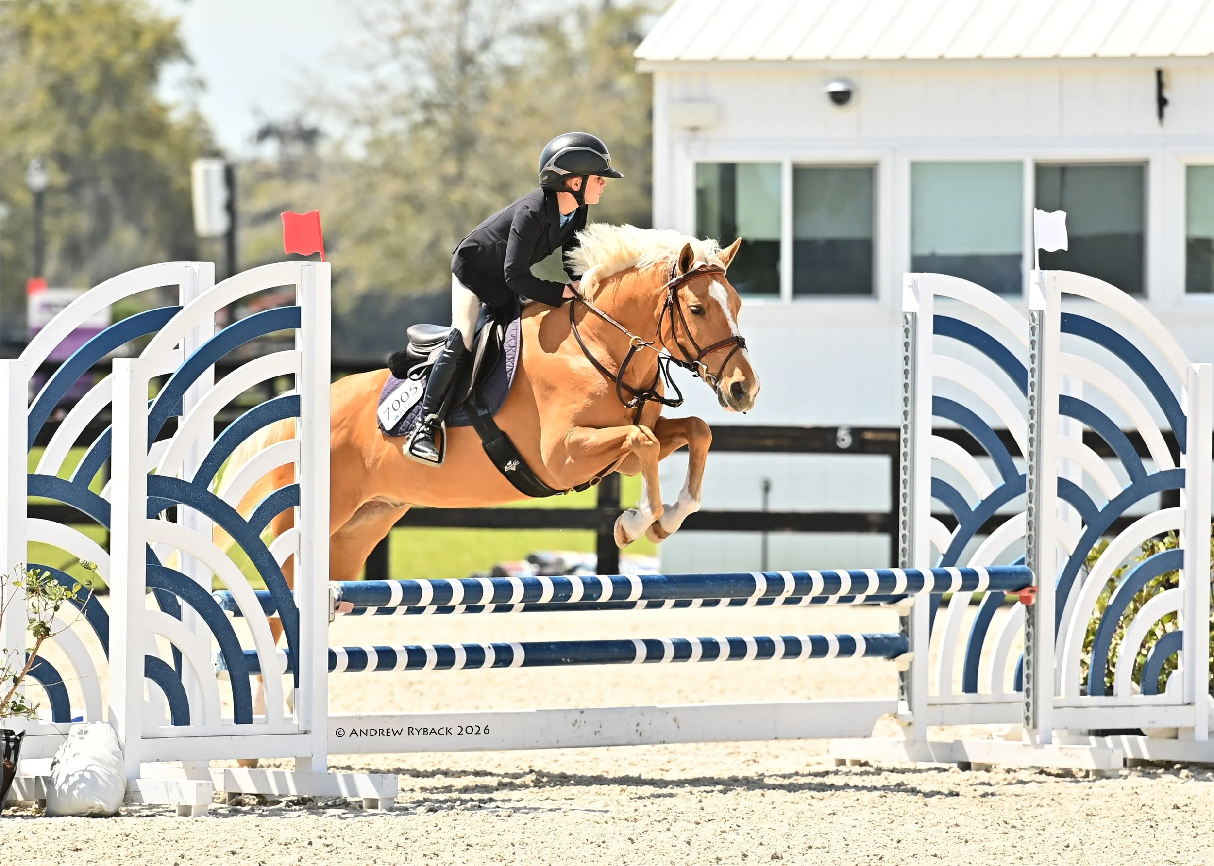 Ocala Summer Series V