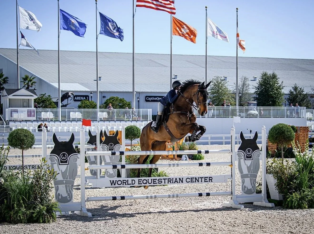 Ocala Summer Series VI