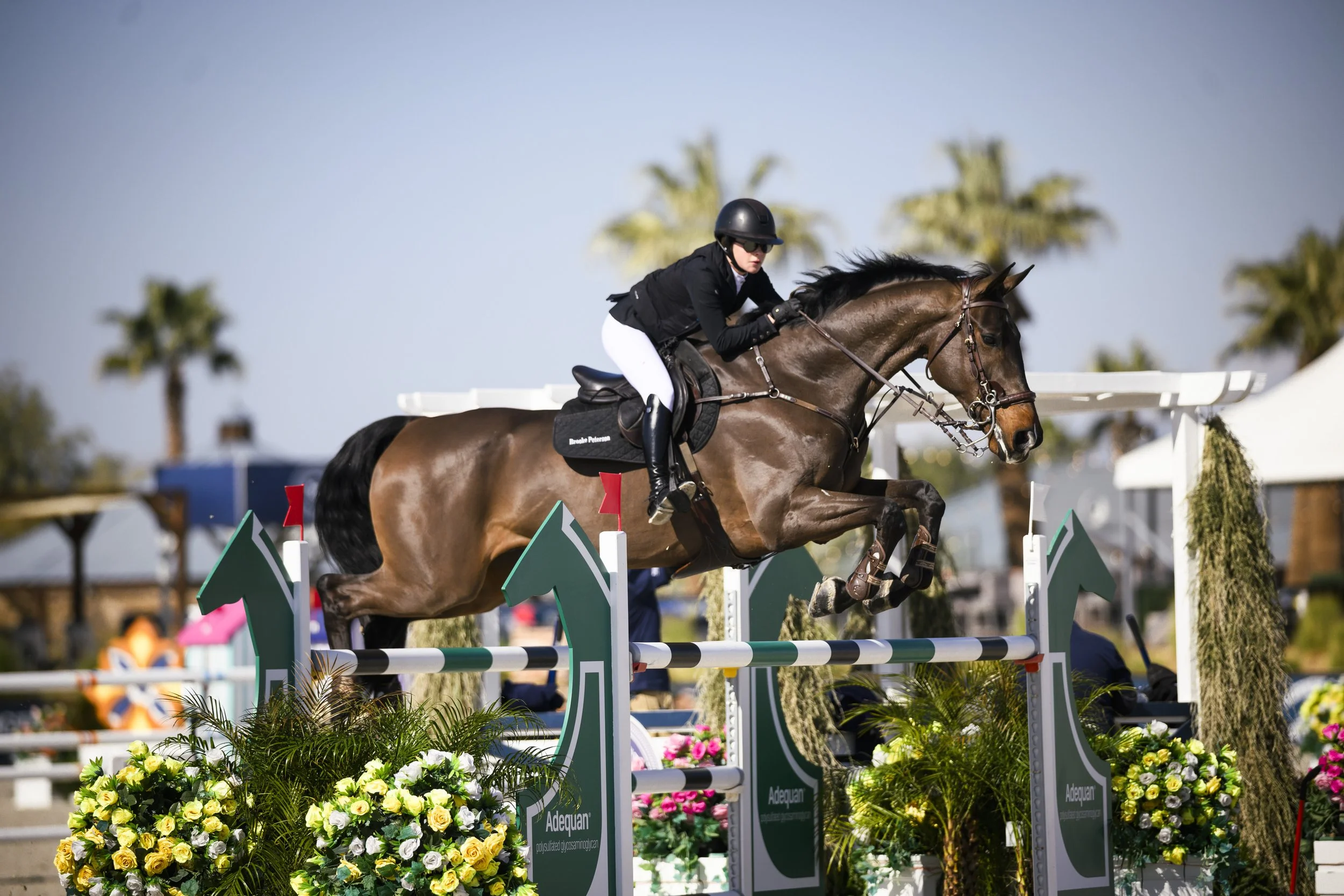 Washington International Horse Show CSI5*-W / CSI2*