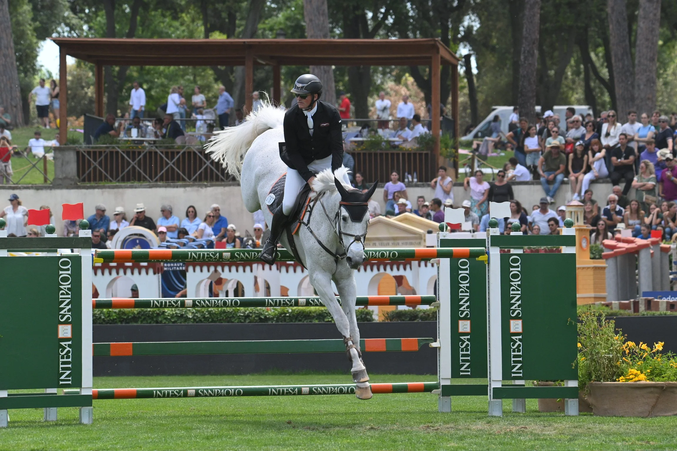 Hunter jumper rider competing on a gray horse at Petschenig Show Jumping in Pilot Point Texas