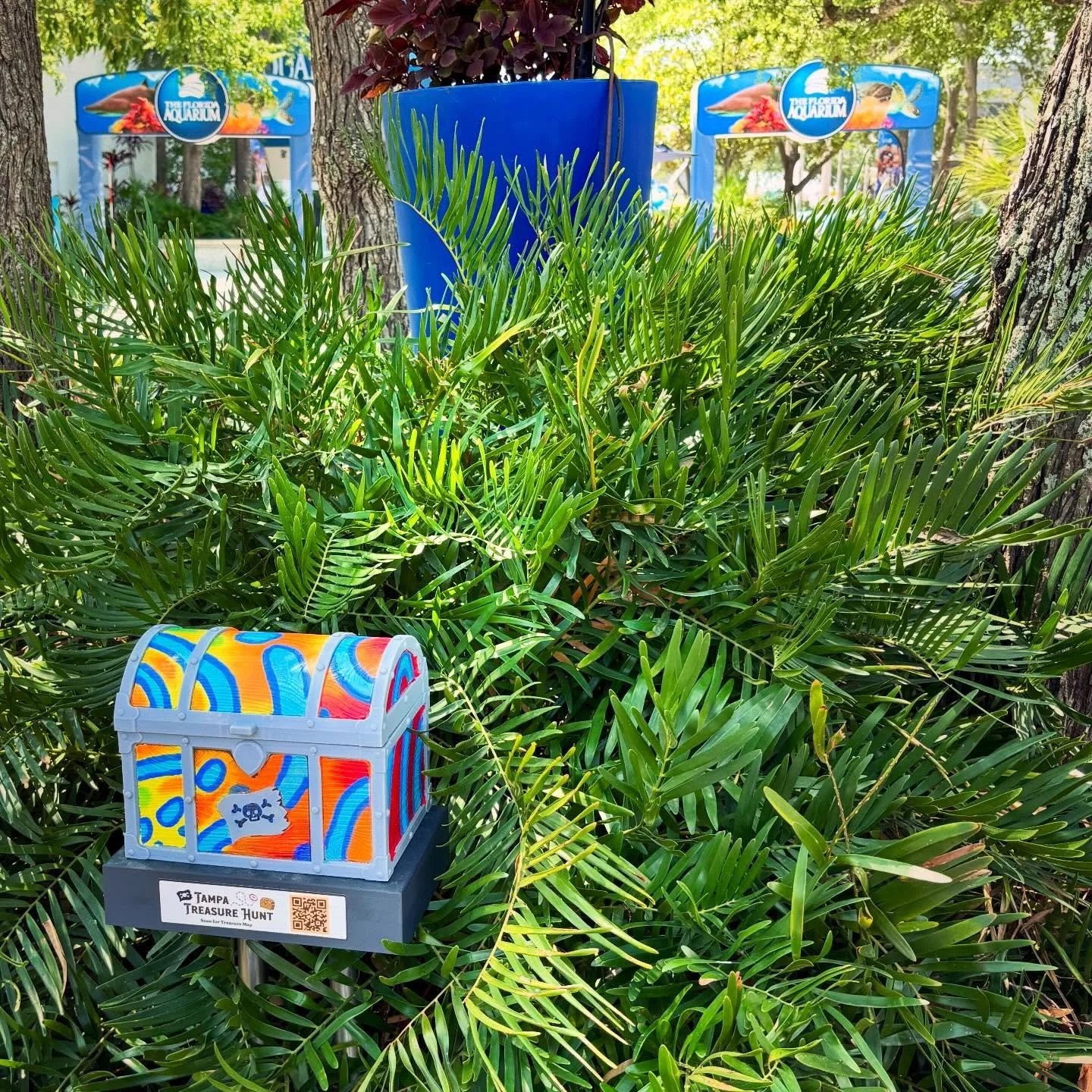 Beware of circling sharks as you search for this treasure @floridaaquarium! The treasure hunt goes public tomorrow, May 2nd! #tampatreasurehunt
