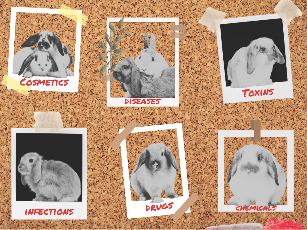 losing myself in your light.png