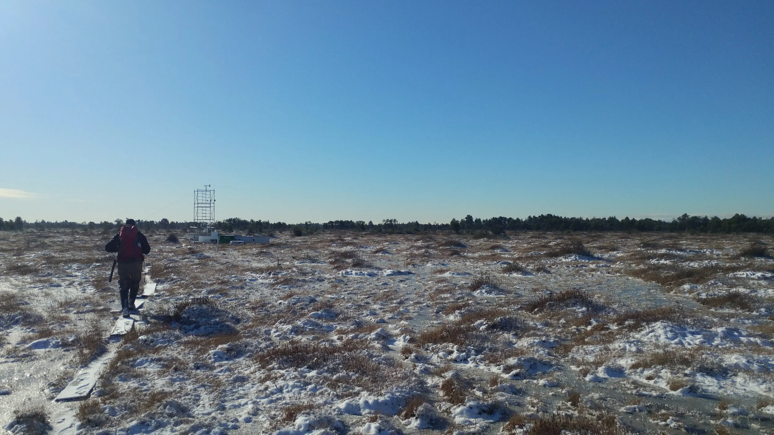1_Burns Bog_winter.jpg