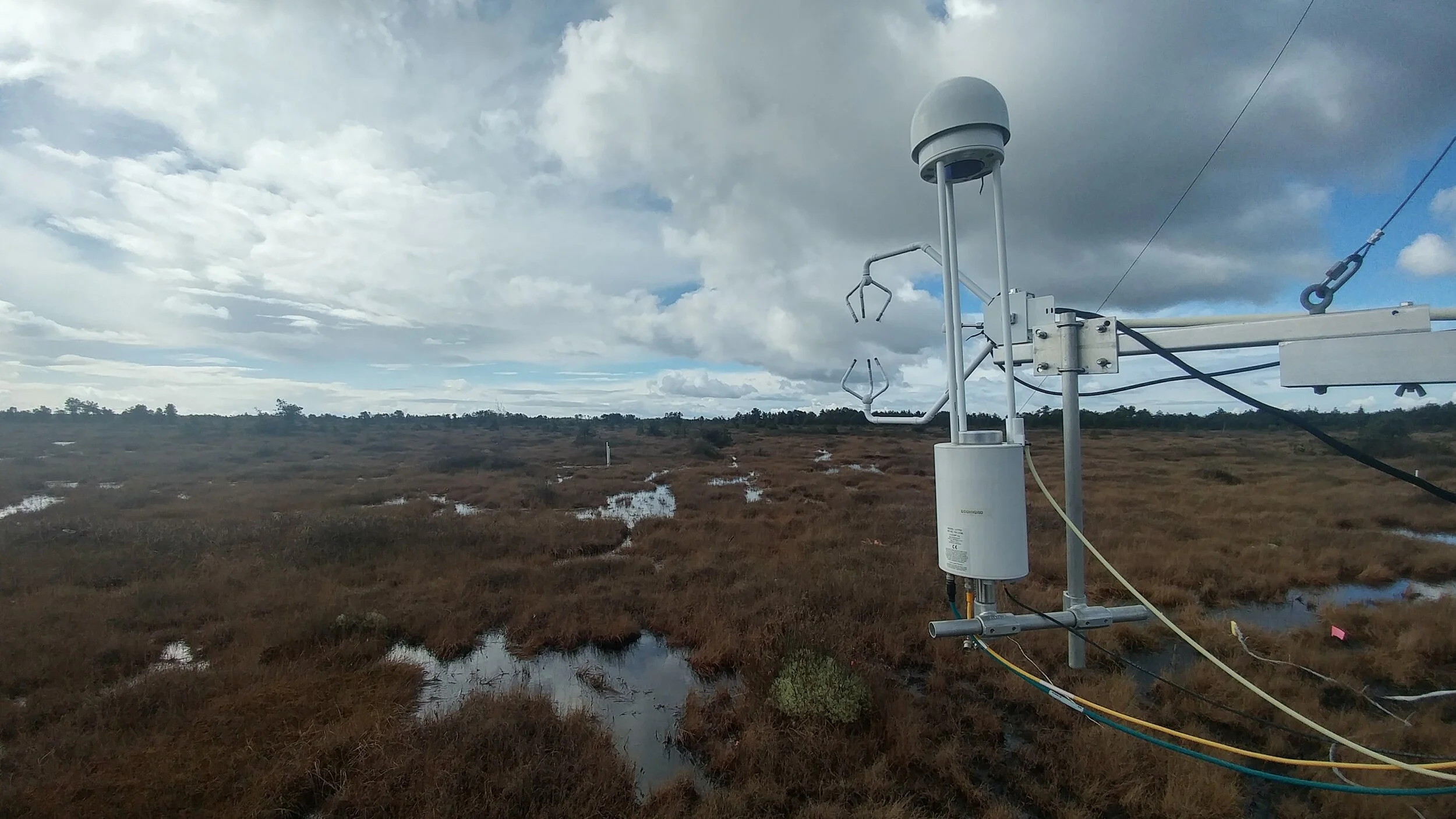 2_Burns Bog_winter2 (1).jpg