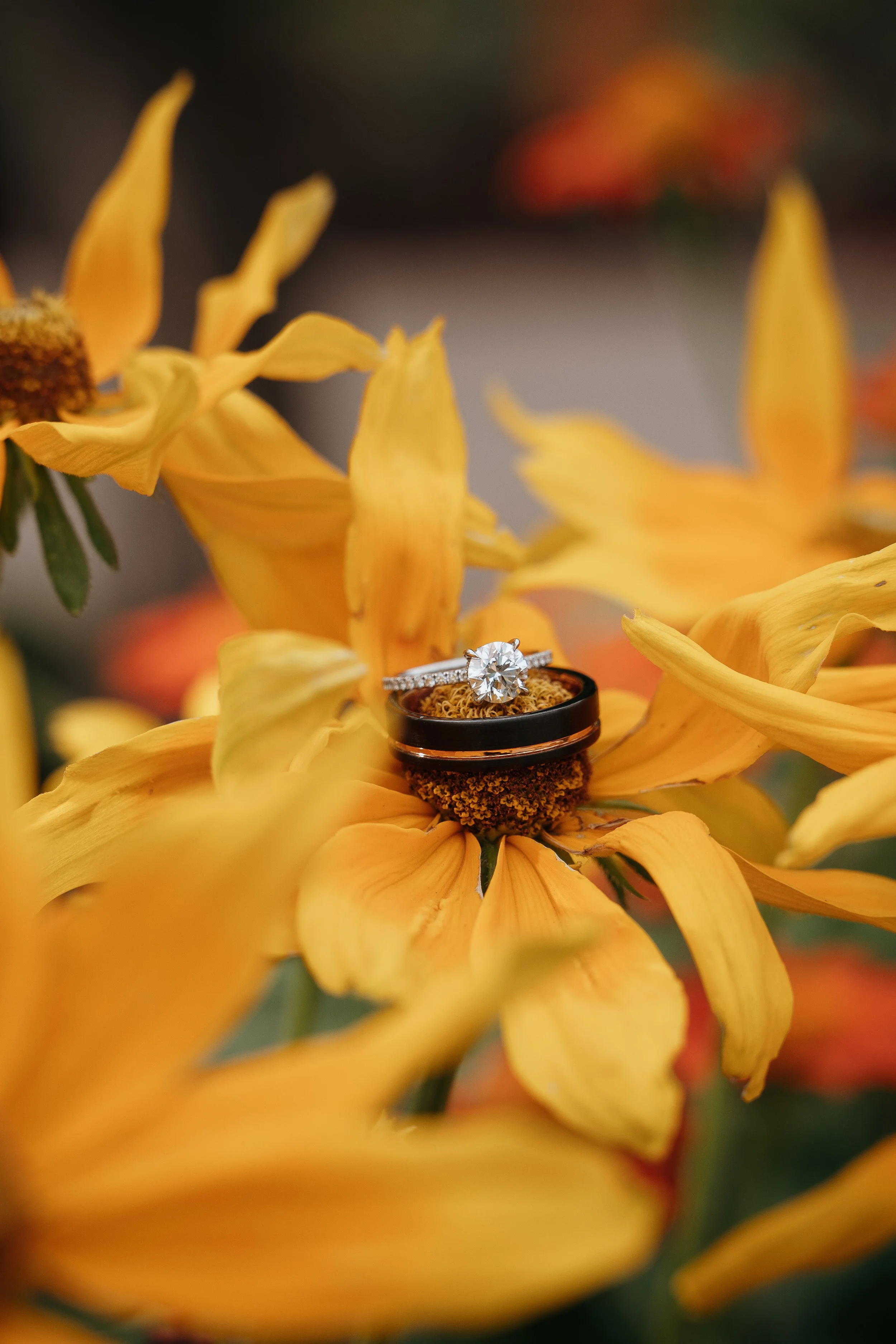 20260831_clay-cheyenne_work_jess-chase-wedding_0225.jpg