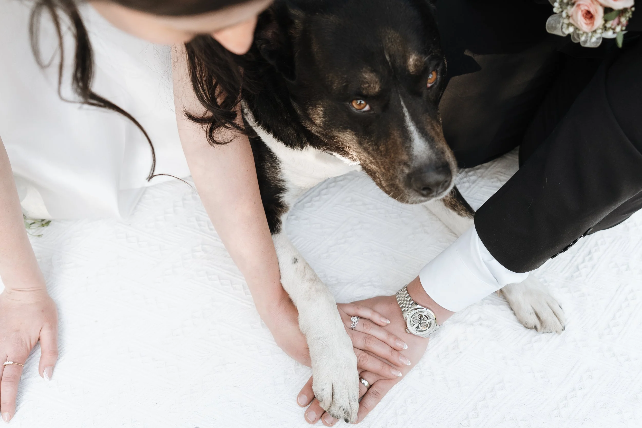 20260606_work_clay-cheyenne_vanessa-shane-wedding_1963.jpg