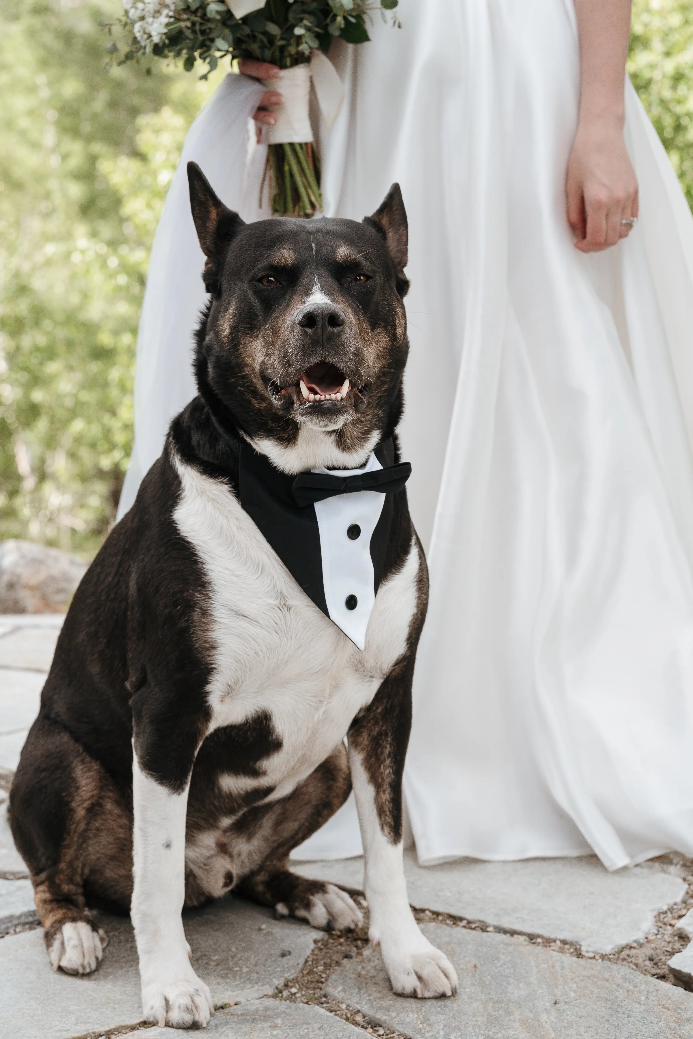 20260606_work_clay-cheyenne_vanessa-shane-wedding_1468.jpg
