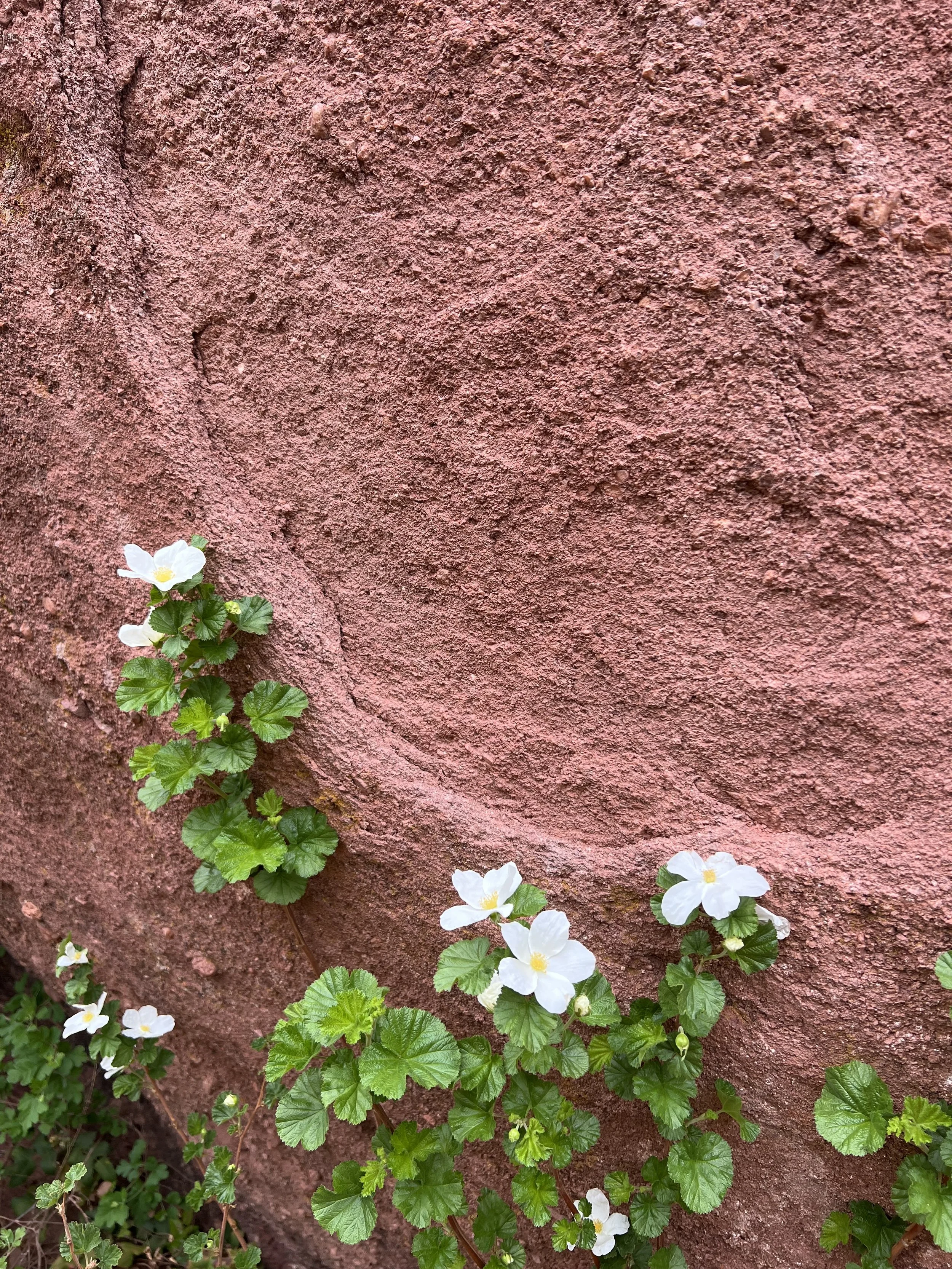 Generation, … What?