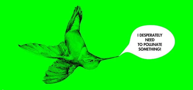 pollinate.jpg