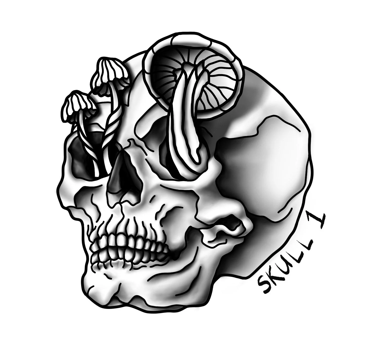 Skulls