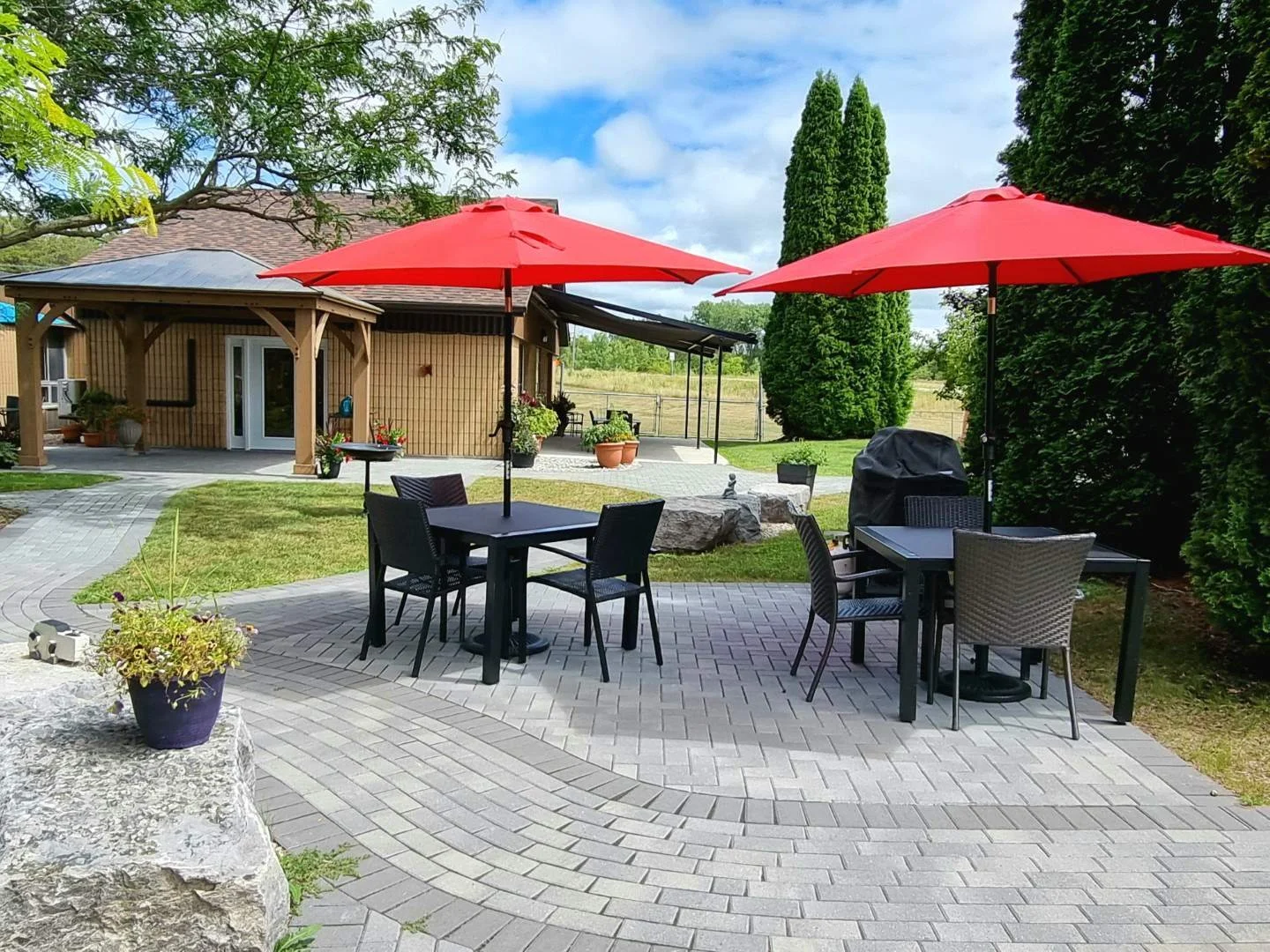 A backyard patio with two black tables, each with four black chairs, shaded by two red umbrellas. There is a charcoal grill covered with a black cover near one of the tables. The patio is paved with grey bricks and surrounded by green grass, trees, a
