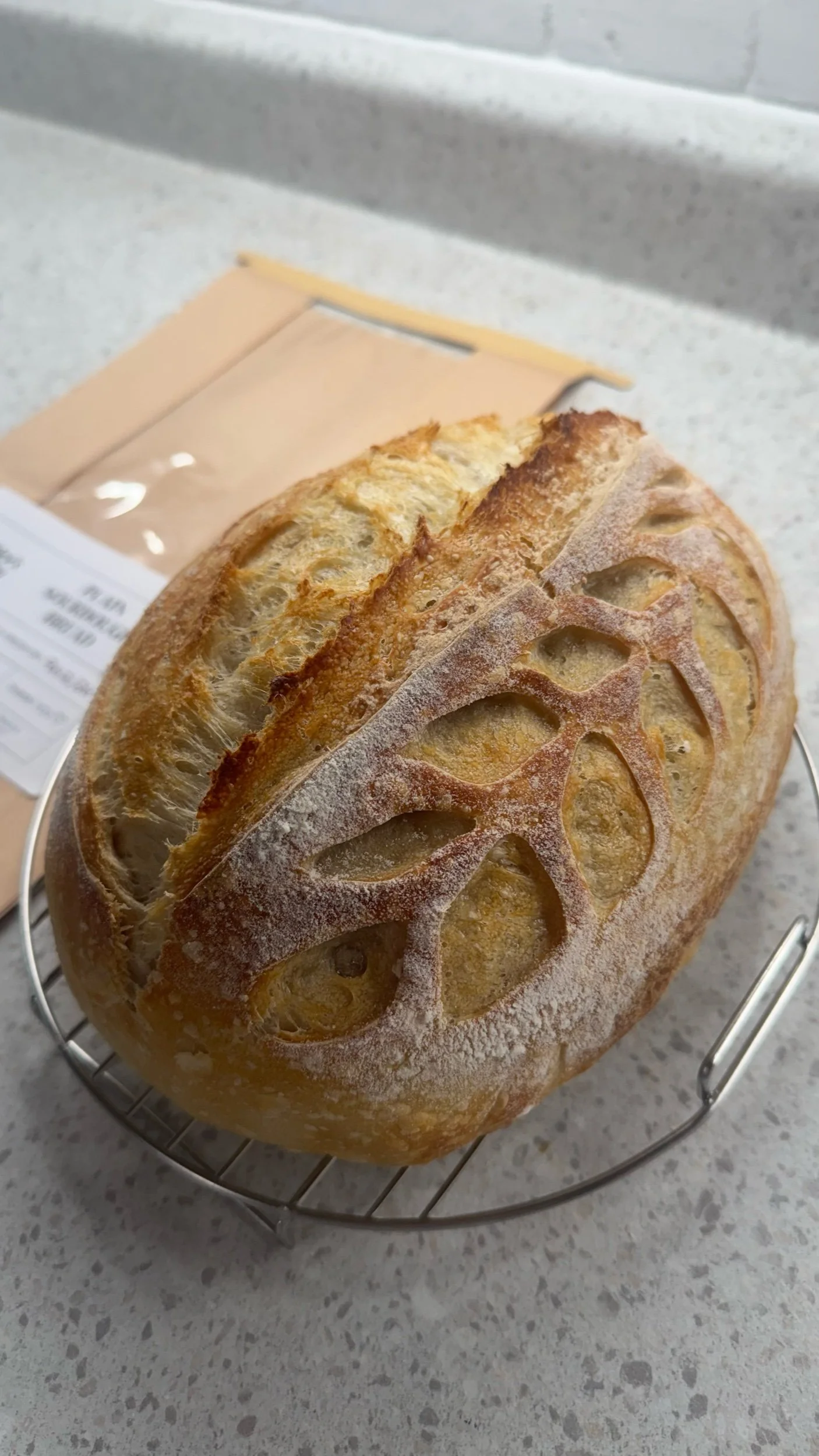 Plain Sourdough Loaf