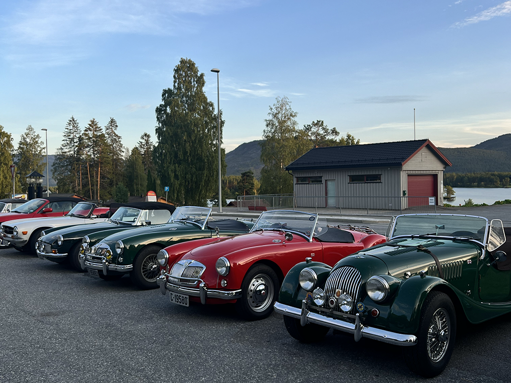 A lineup of classic vintage cars parked in a row outdoors against a backdrop of trees, hills, and a lake, with a small wooden building and a blue sky.