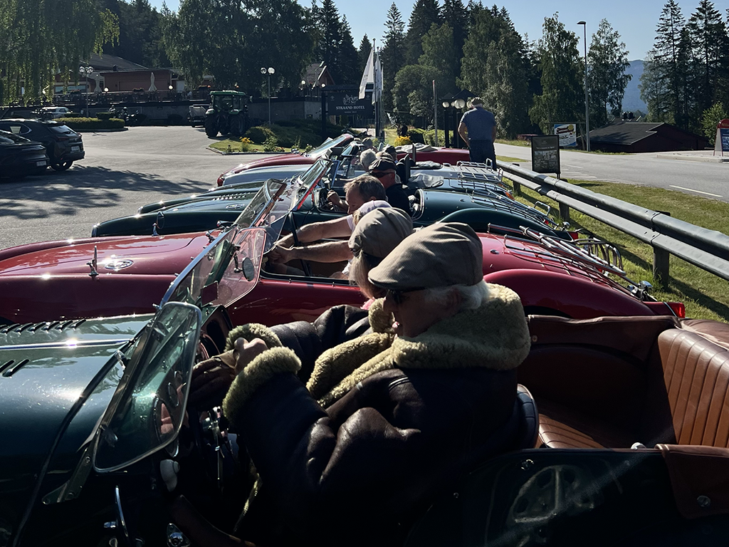 Rows of vintage convertible cars parked along a roadside with people sitting inside, in a scenic outdoor area with trees and a building in the background.