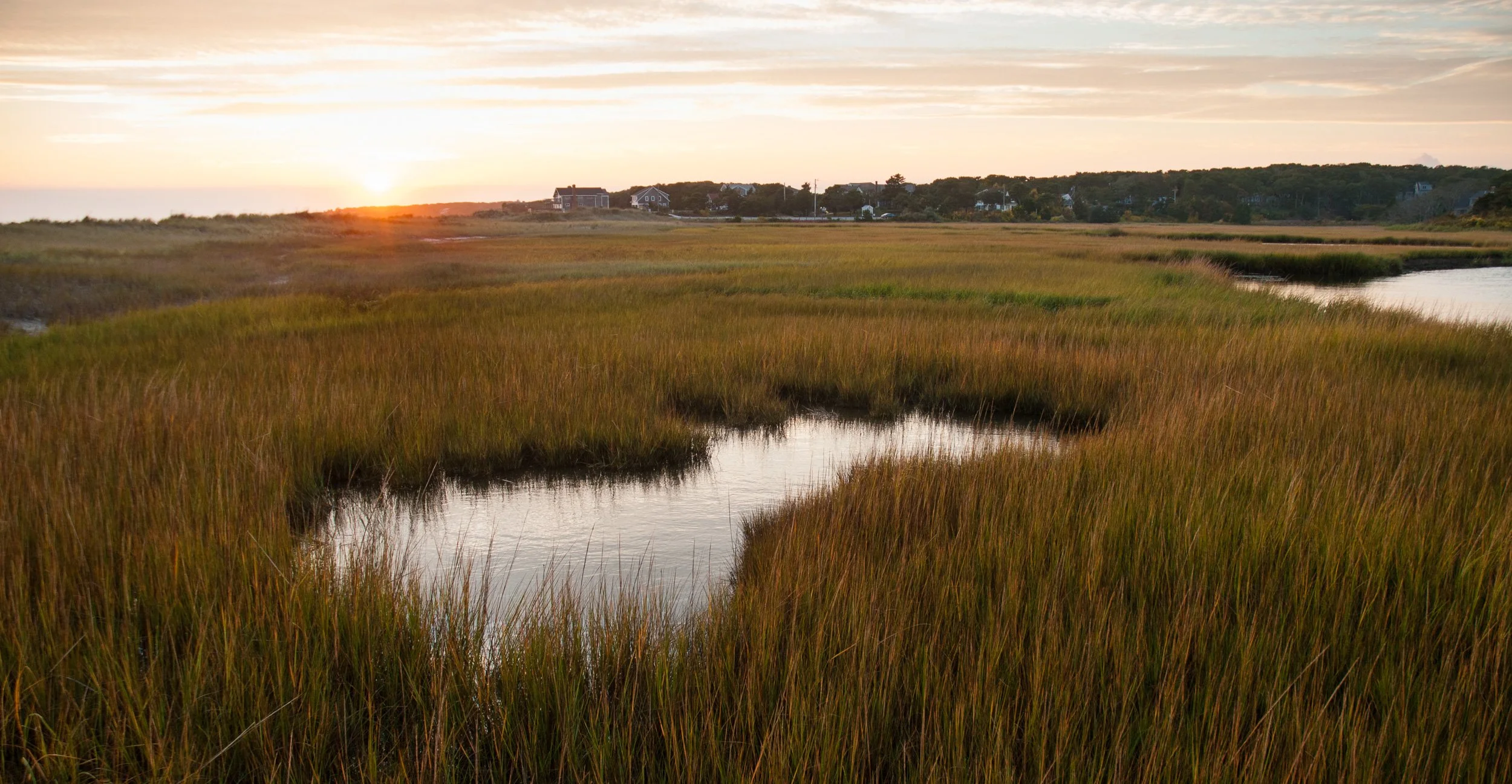 Sunset over marshland with tall grass, winding water channels, and houses in the background.