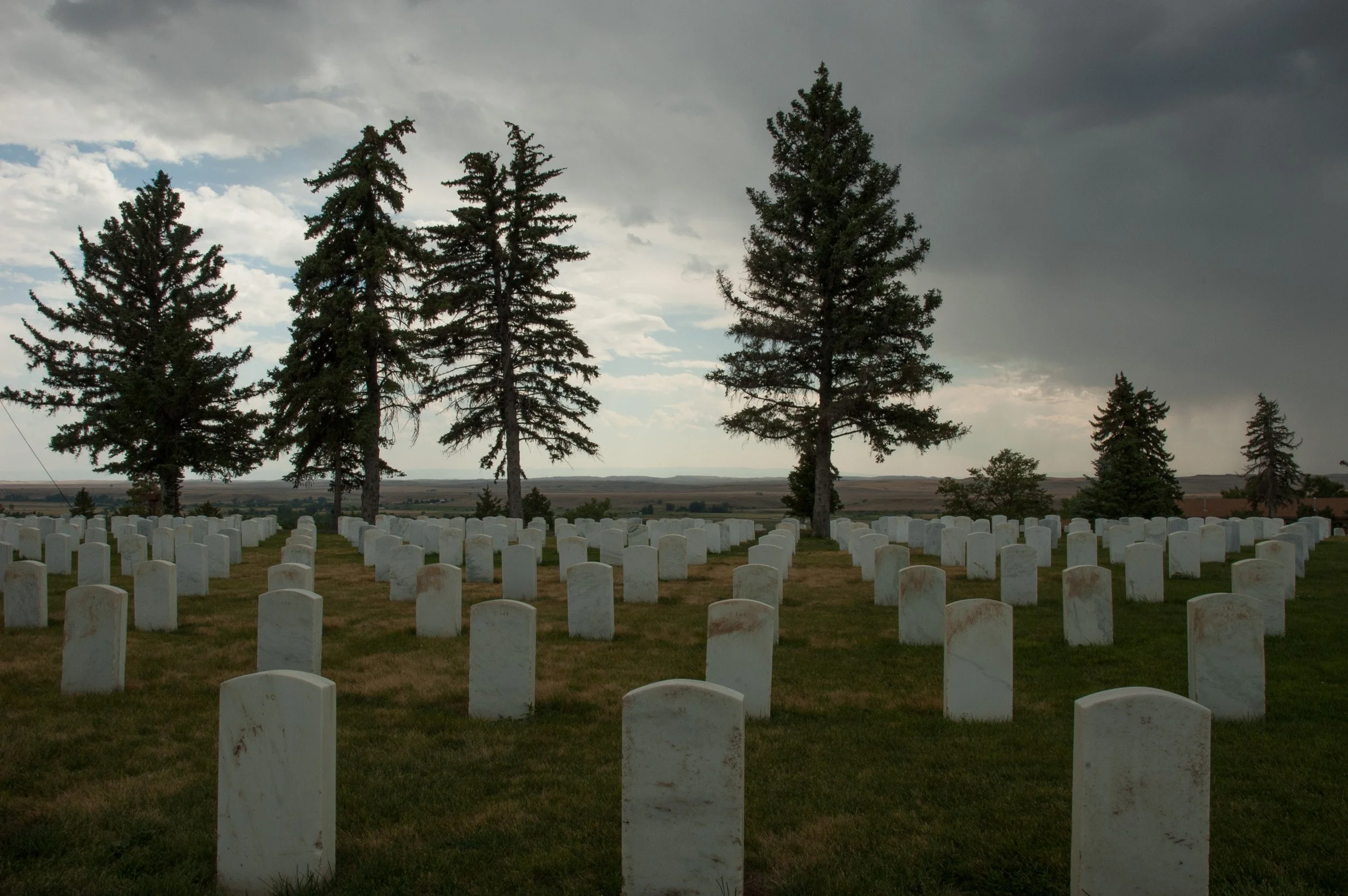 A cemetery with rows of white headstones surrounded by tall pine trees under a cloudy sky.