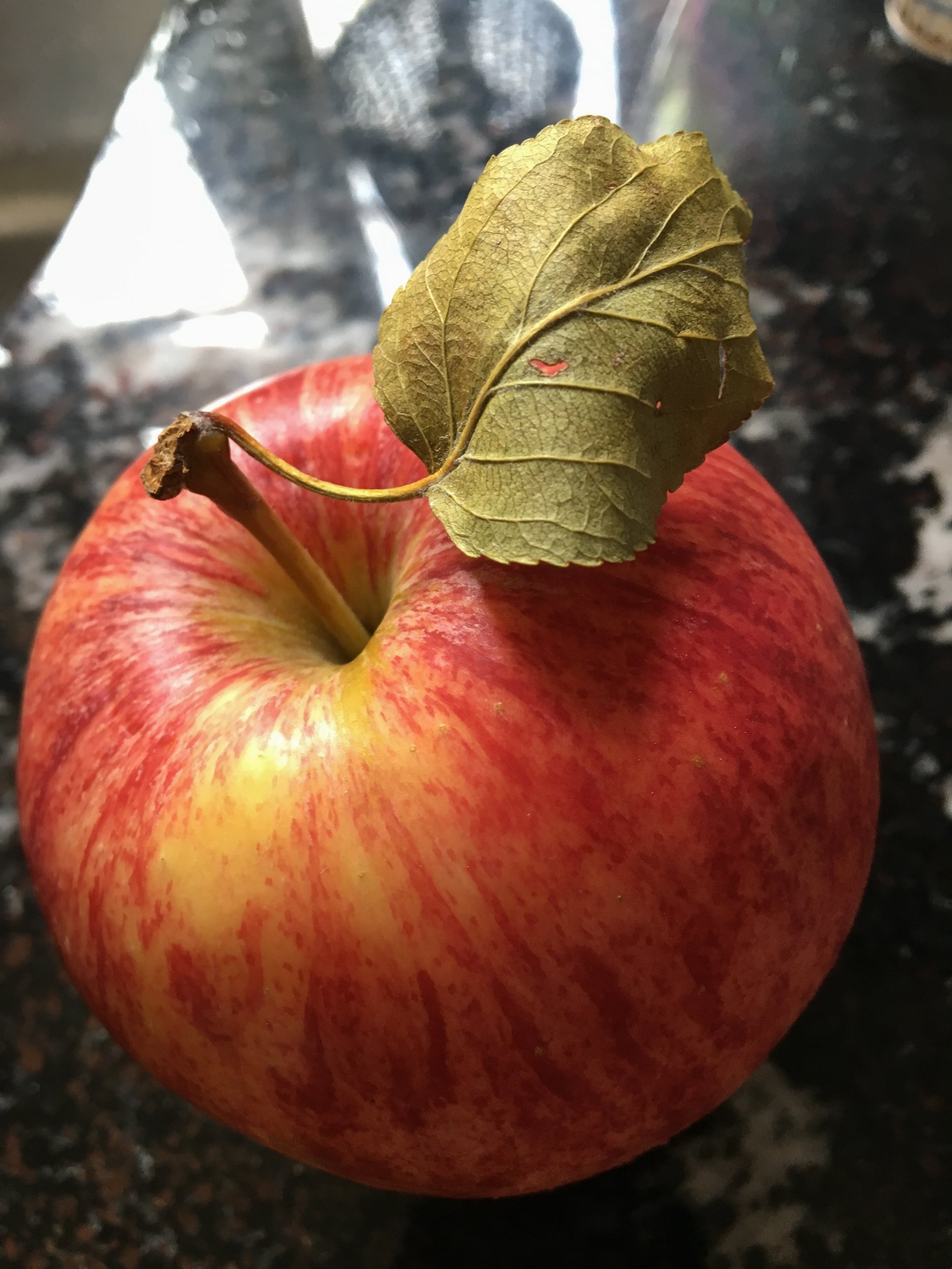 Perfect Apple with Leaf