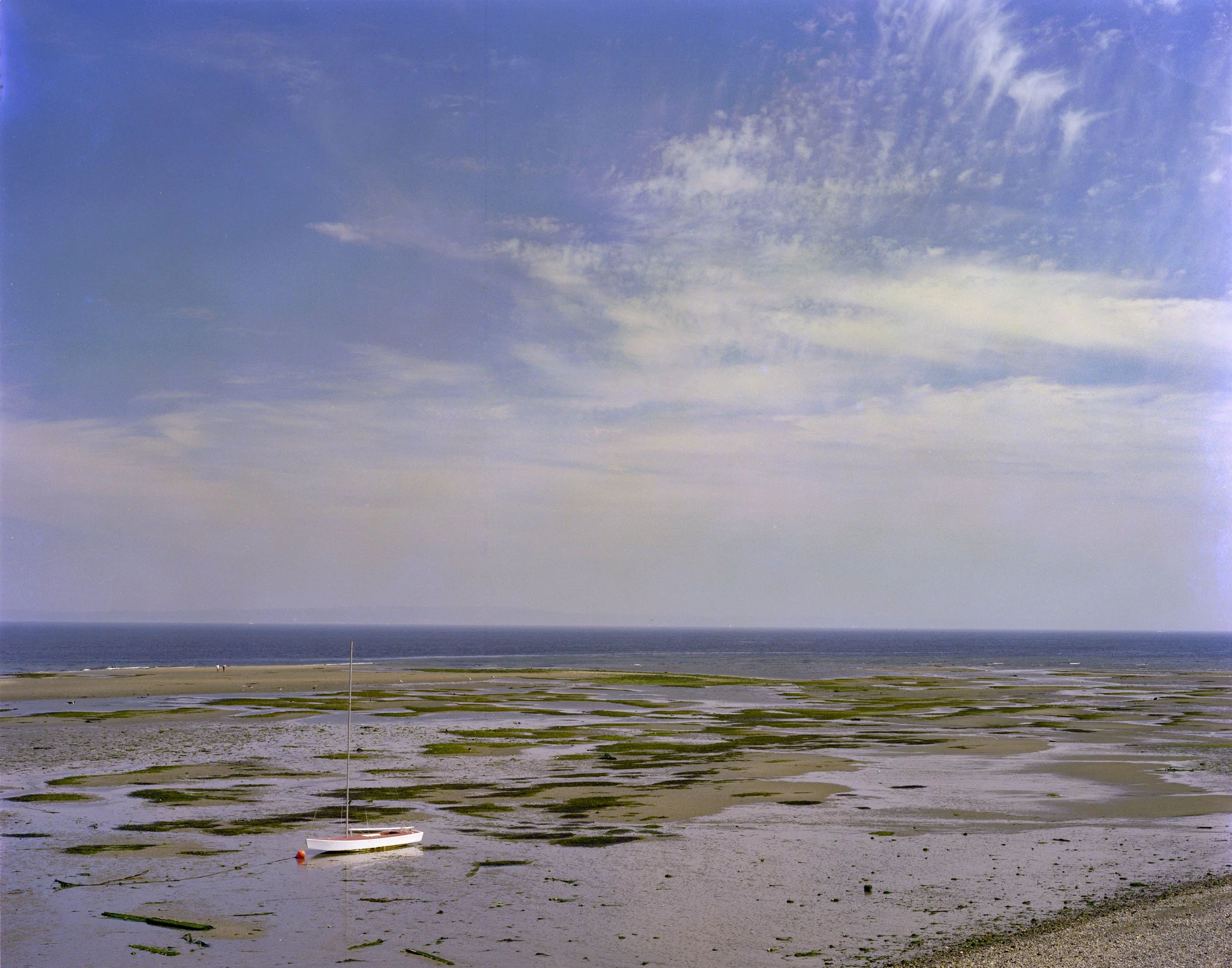 Tide flats Puget Sound