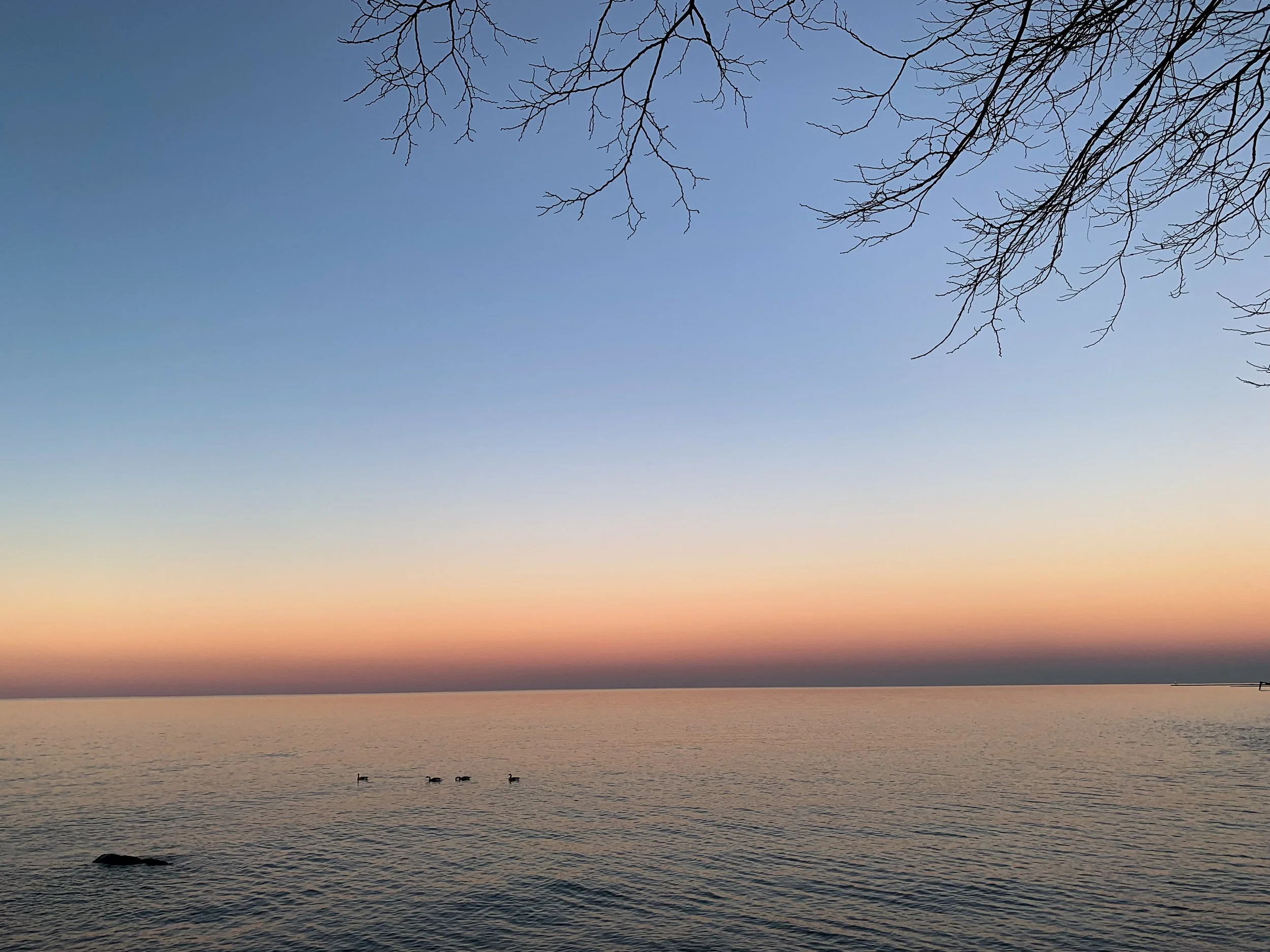 Dusk on Lake Erie with Geese