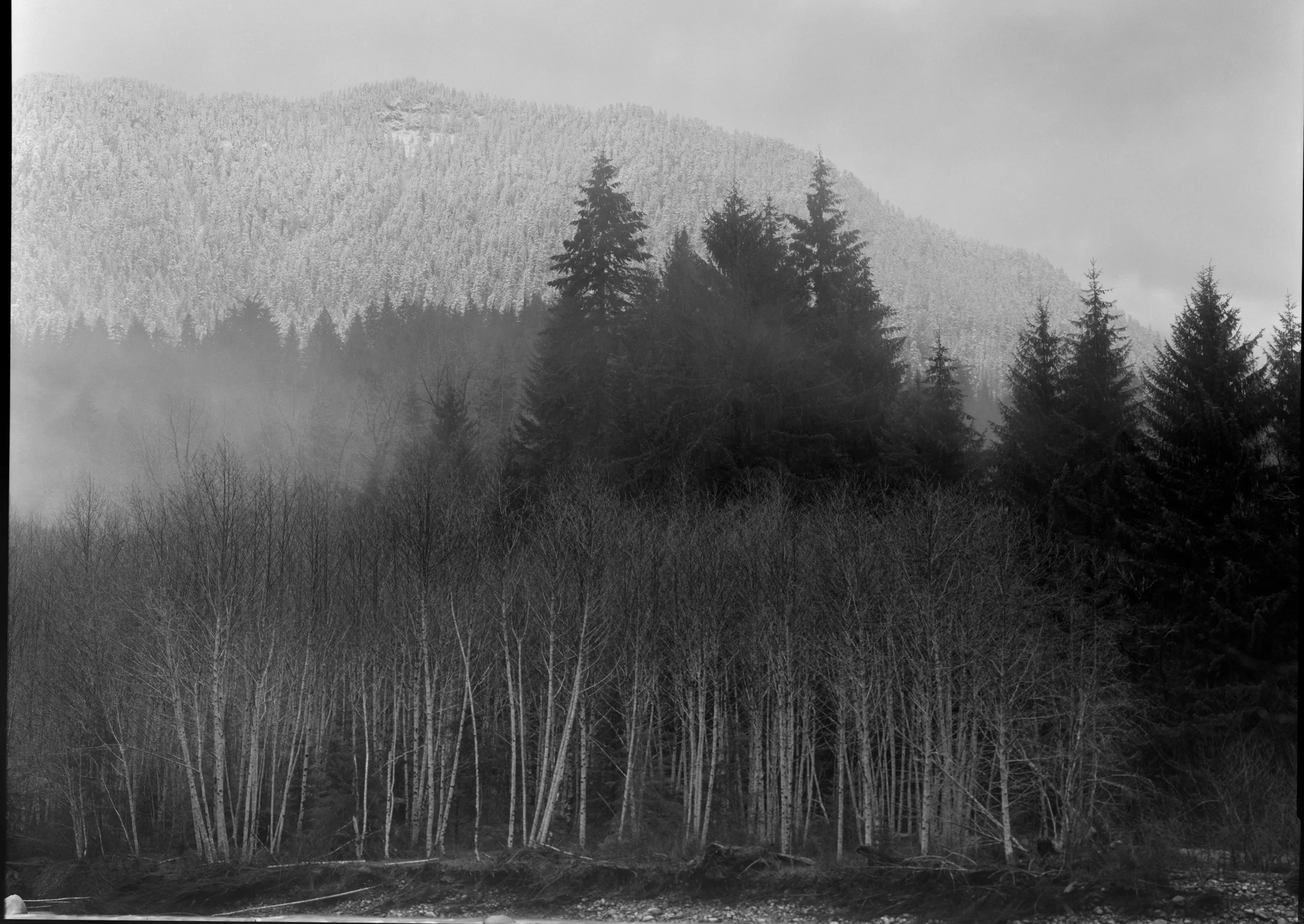 Winter - North Fork Skykomish River-2.jpg