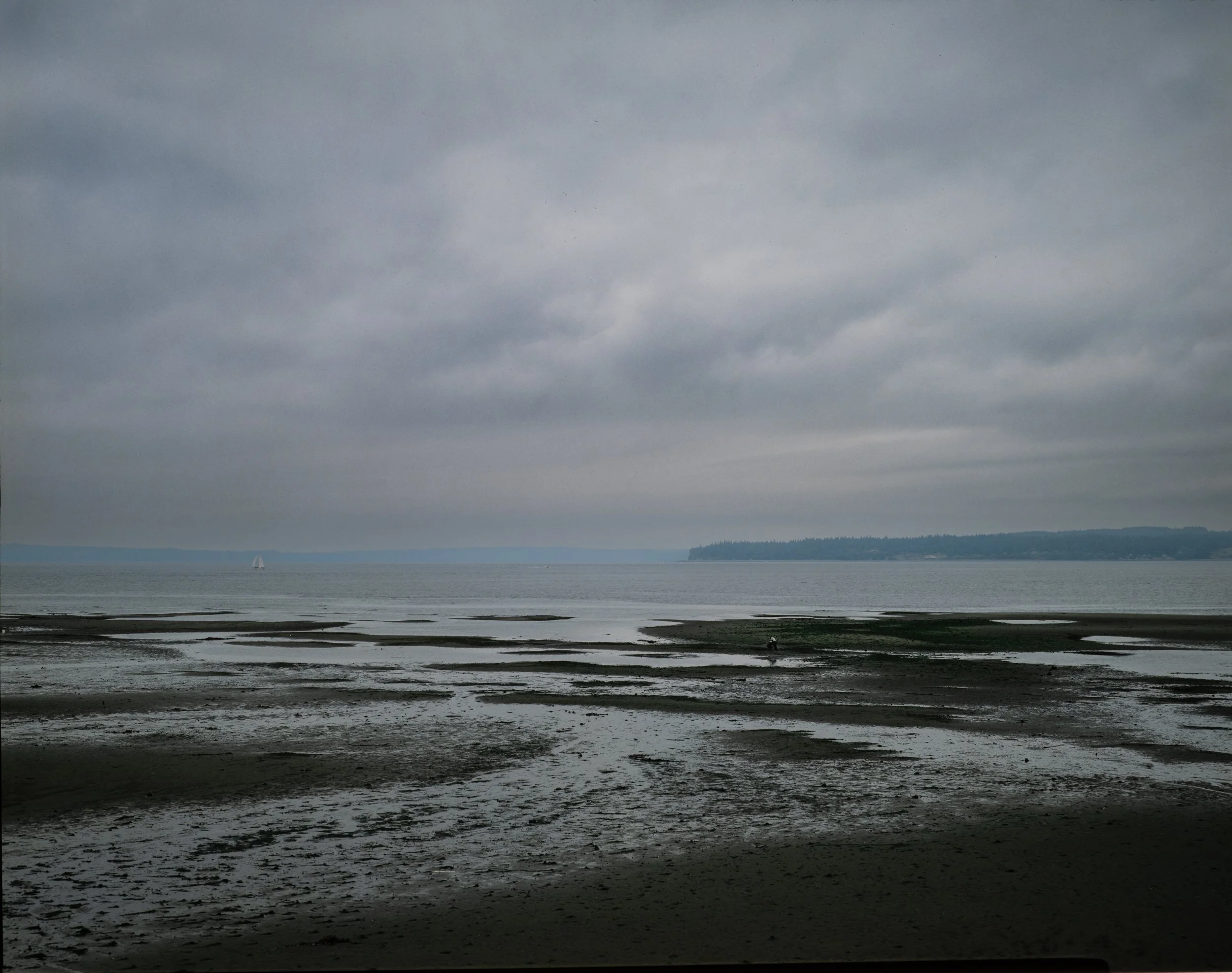 Tide Flats II- Puget Sound.jpg
