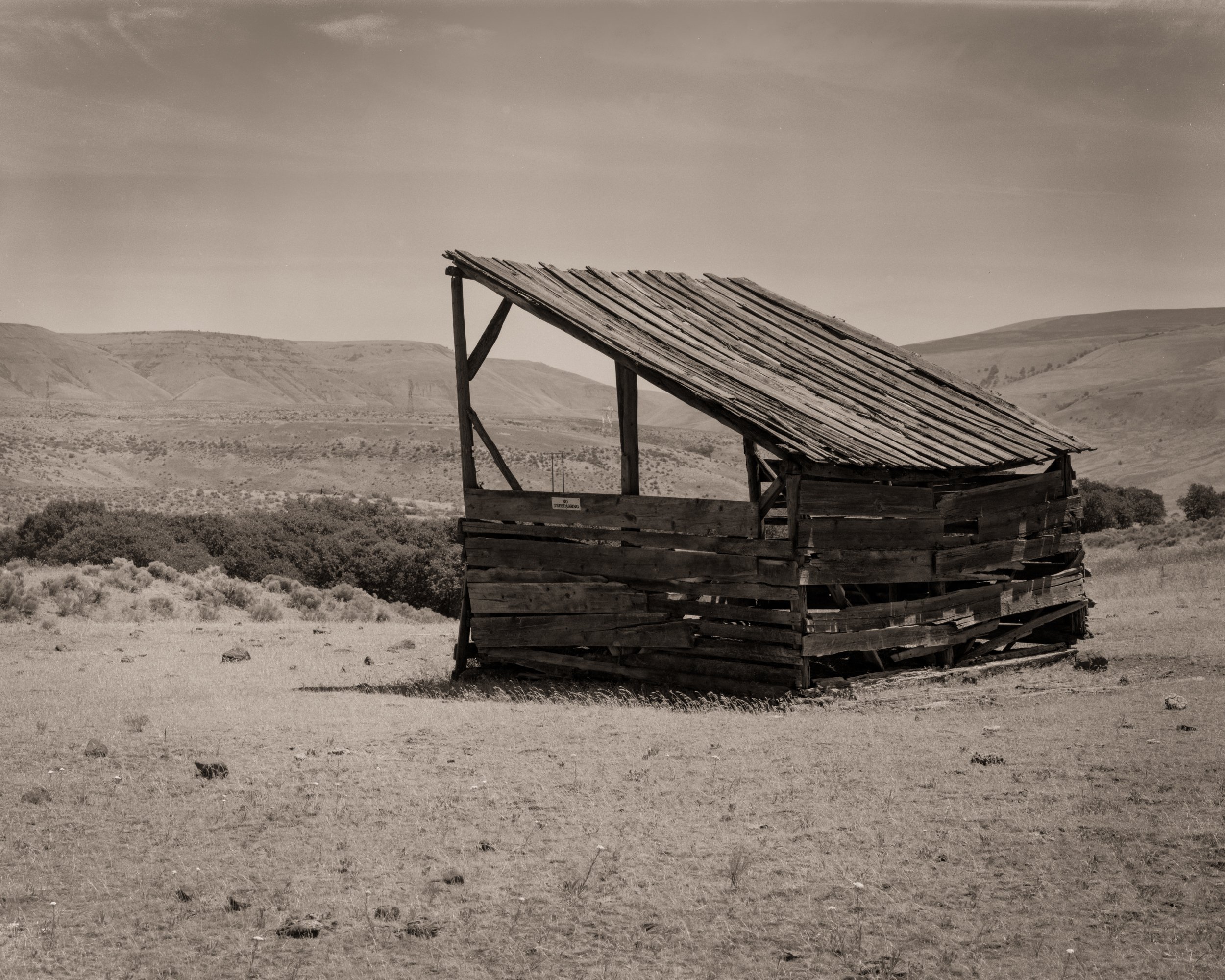 Lean-to-Shelter - Southeast Washington