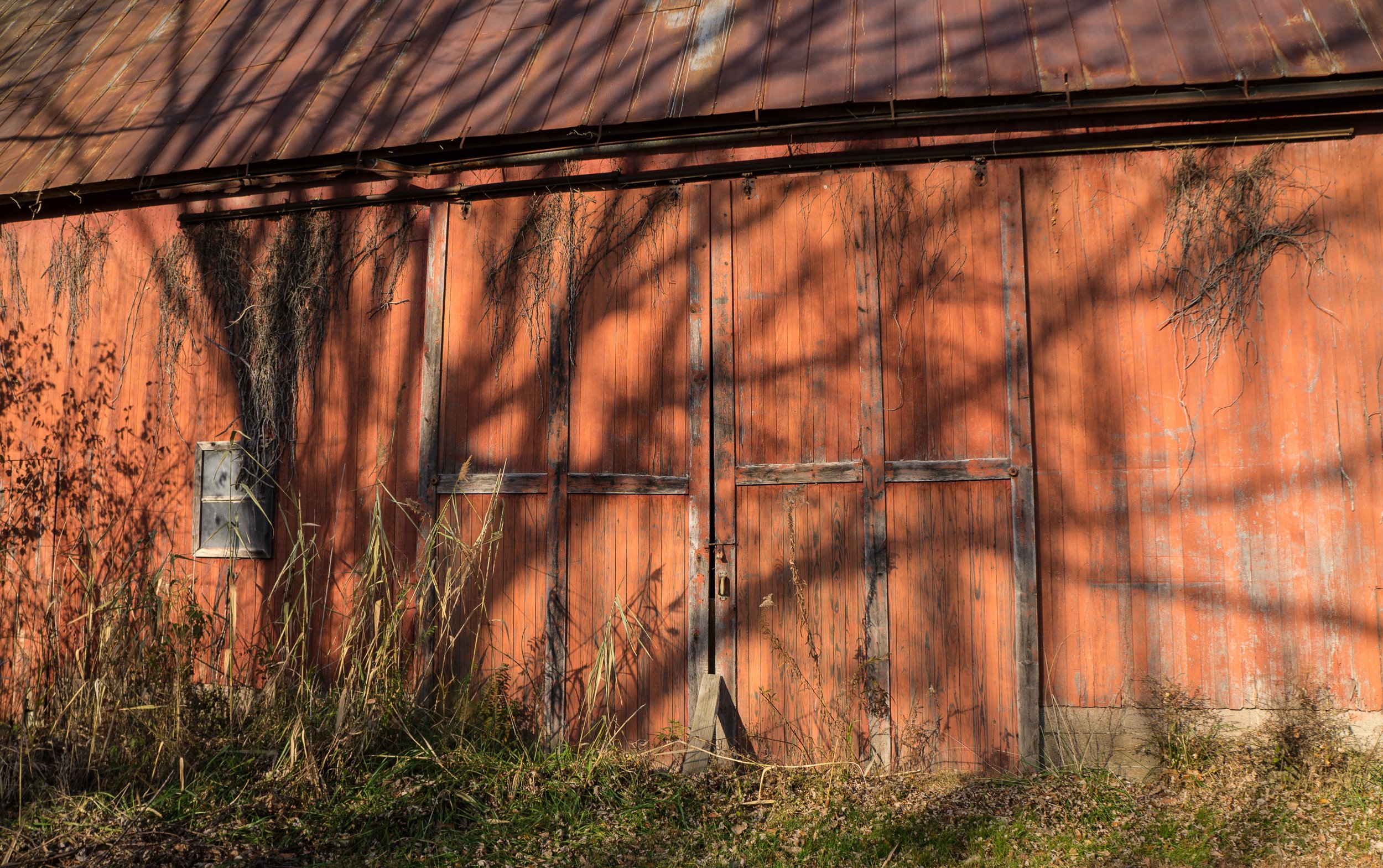 Red Barn with Tree Shadow