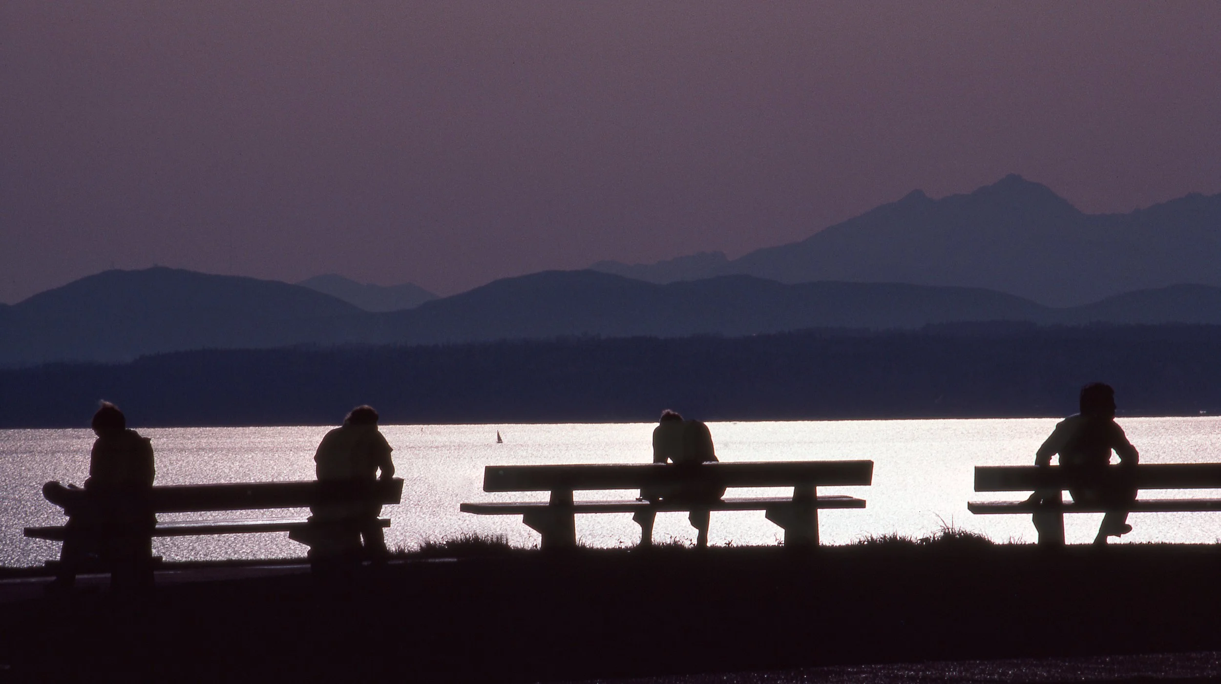 Four Men Benches .jpg