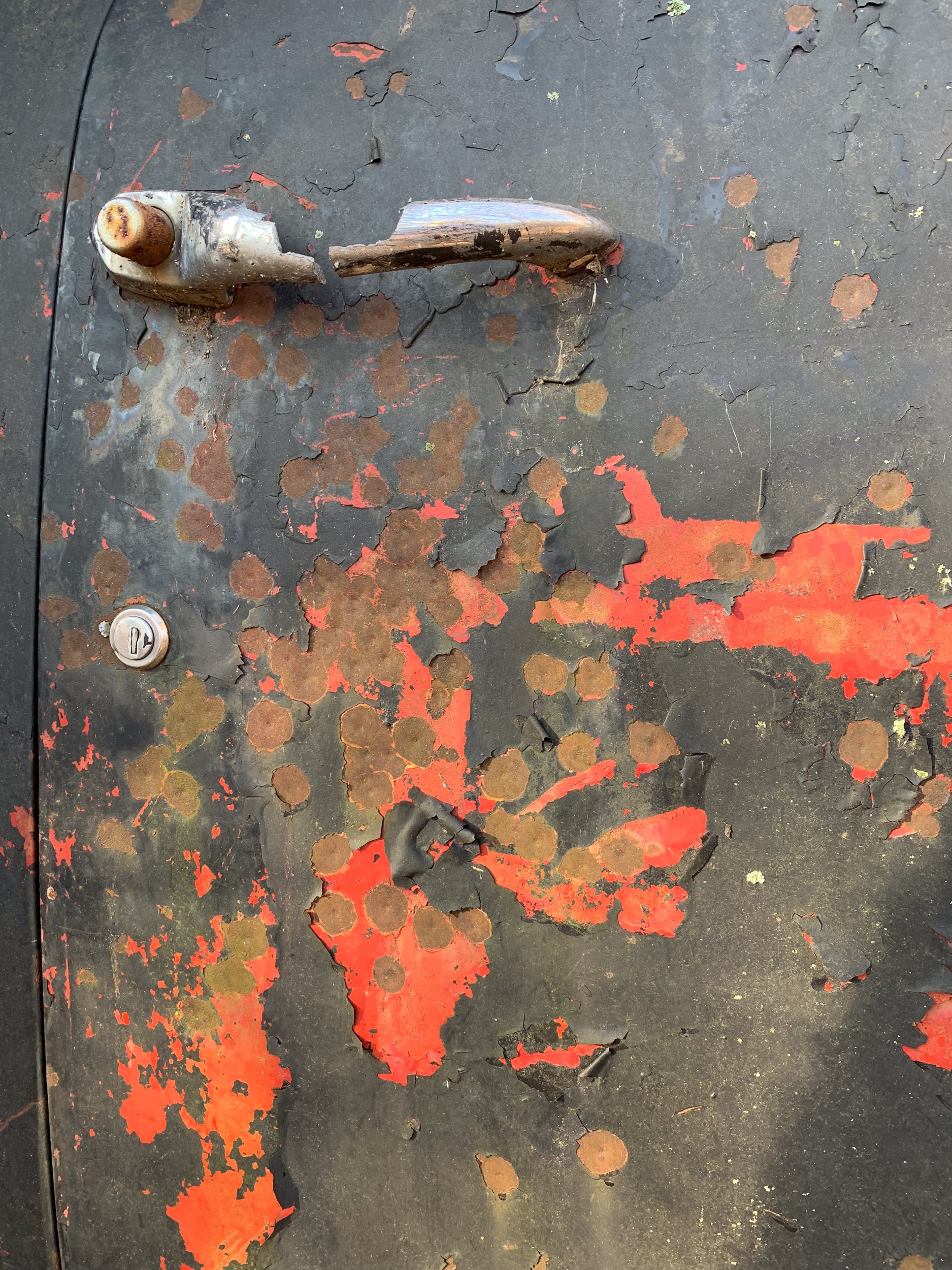 Abandoned Truck Door