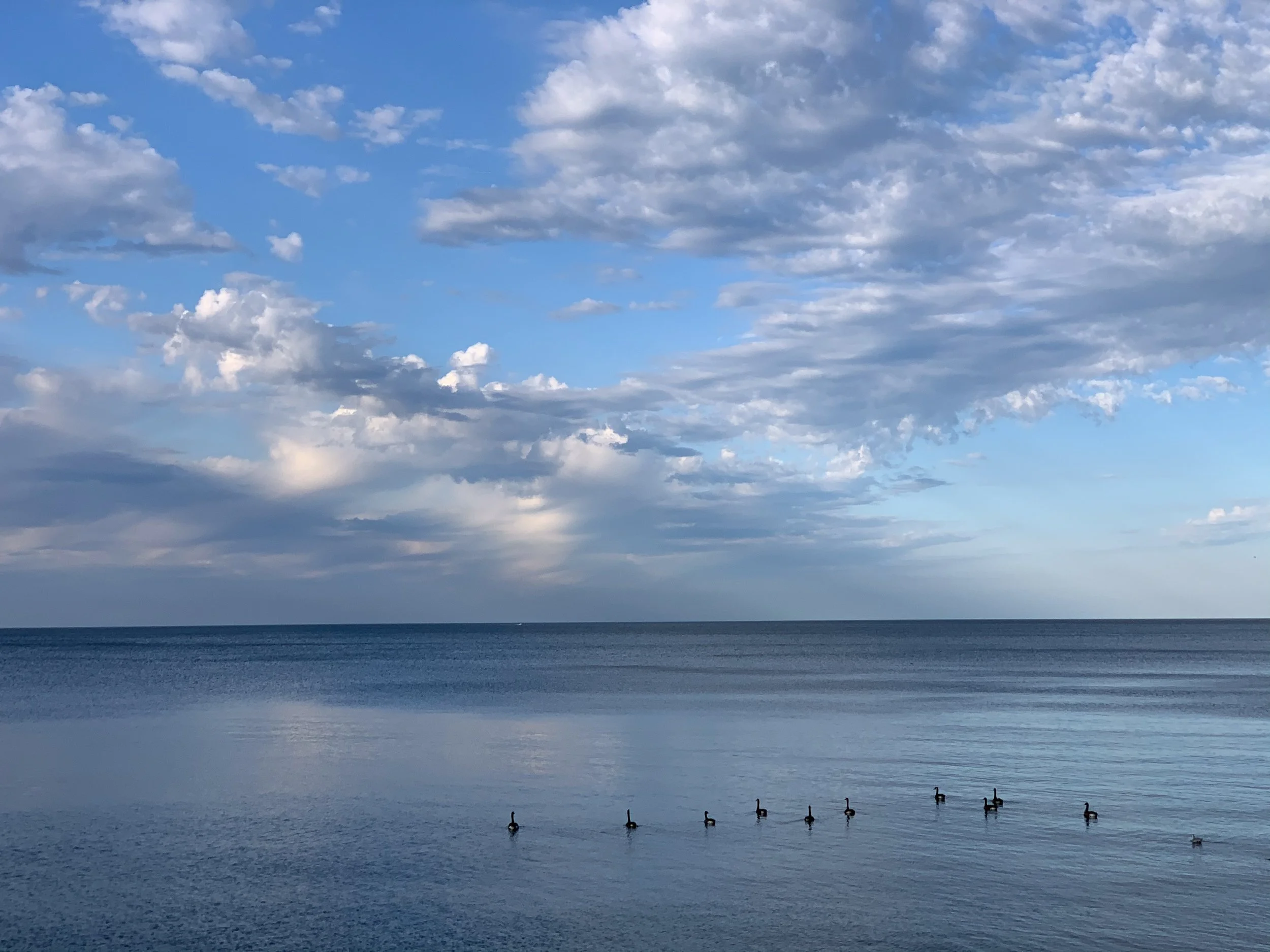 Lake Erie with Geese Heading Out
