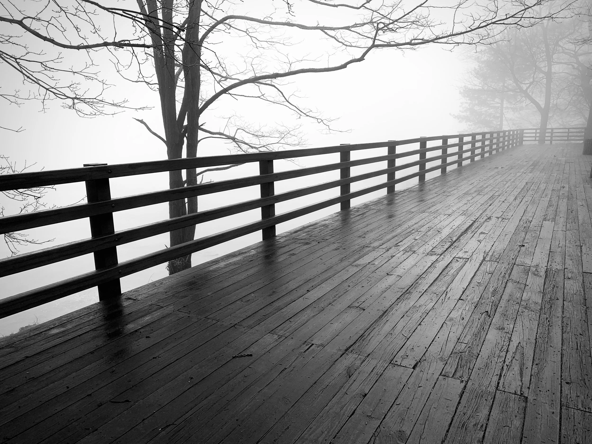 Infinity Deck in Fog