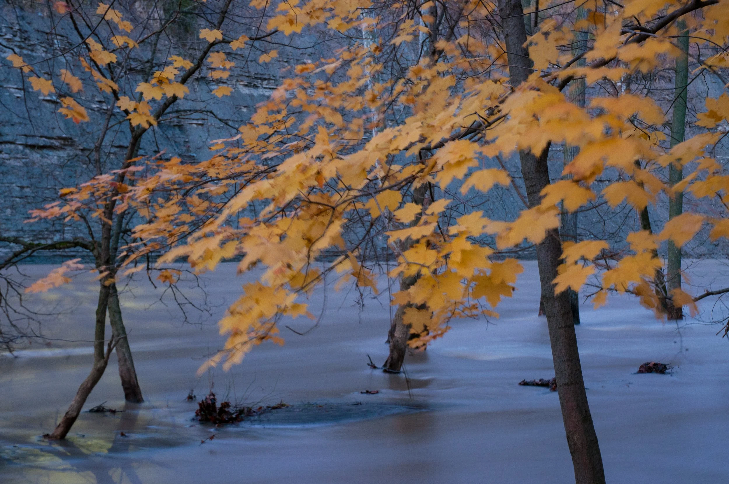 River Fall 2011