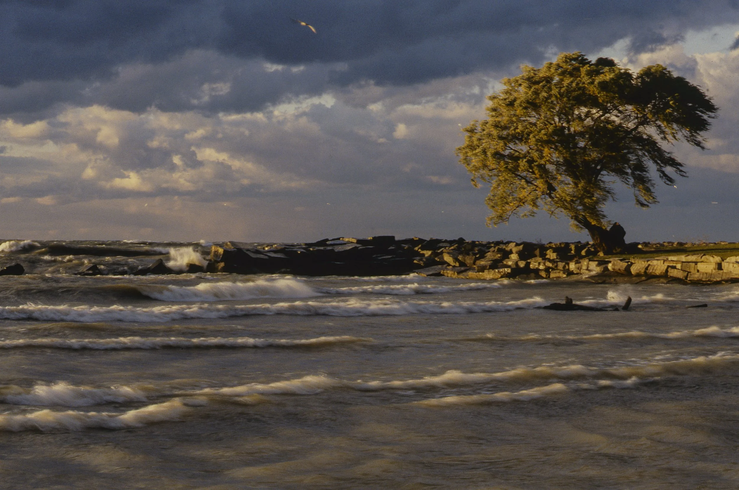 Edgewater Park High Wind