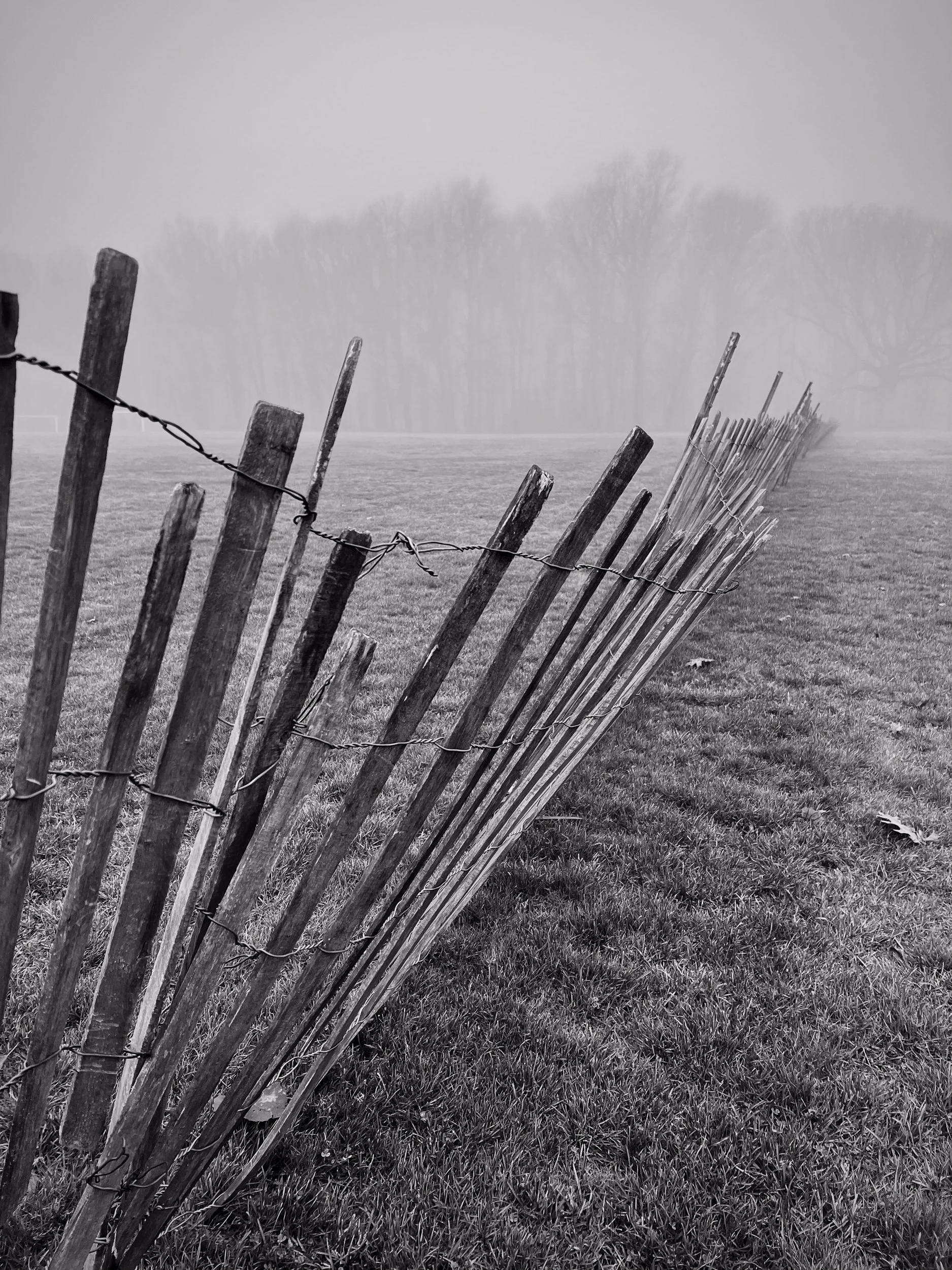 Snow Fence in Fog