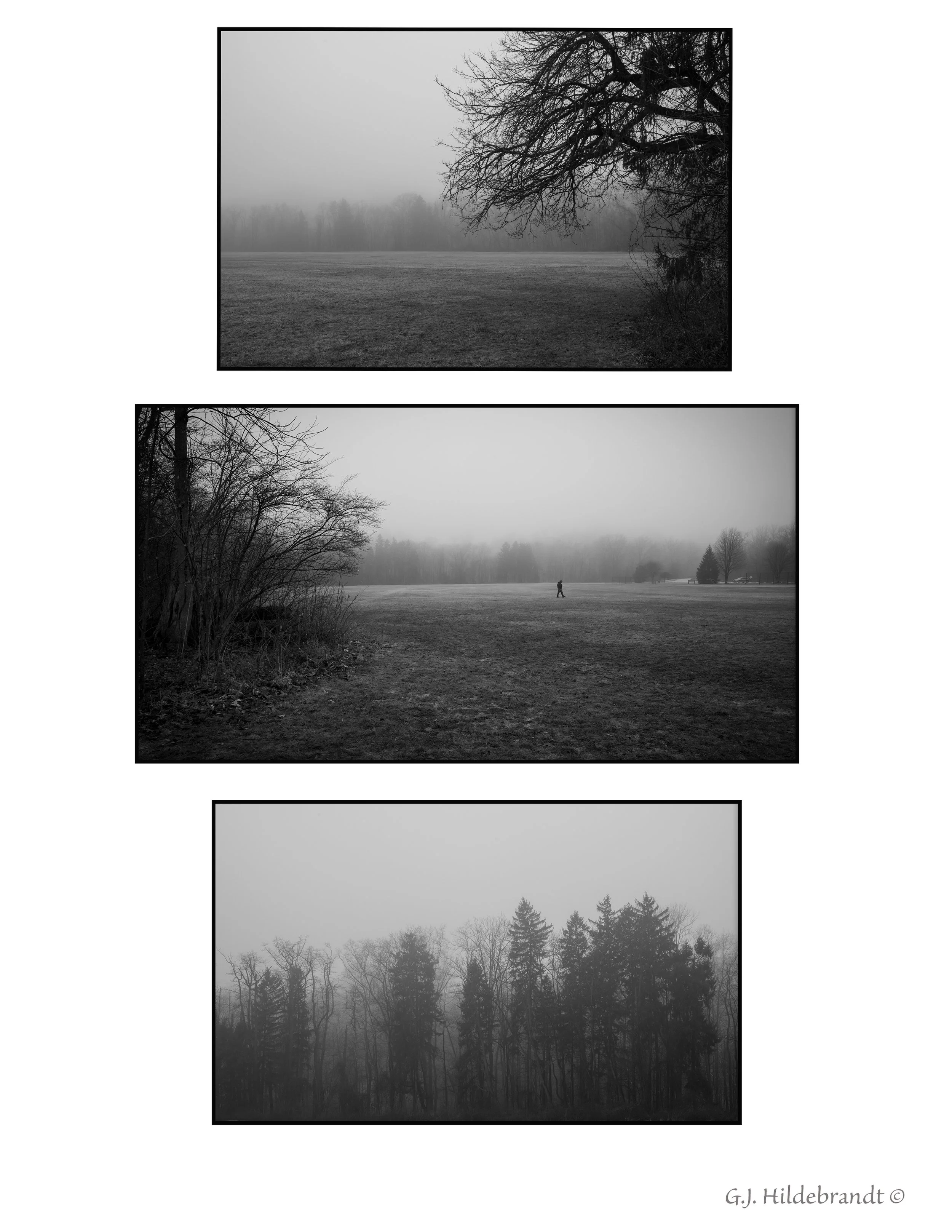 Foggy Morning Triptych.jpg