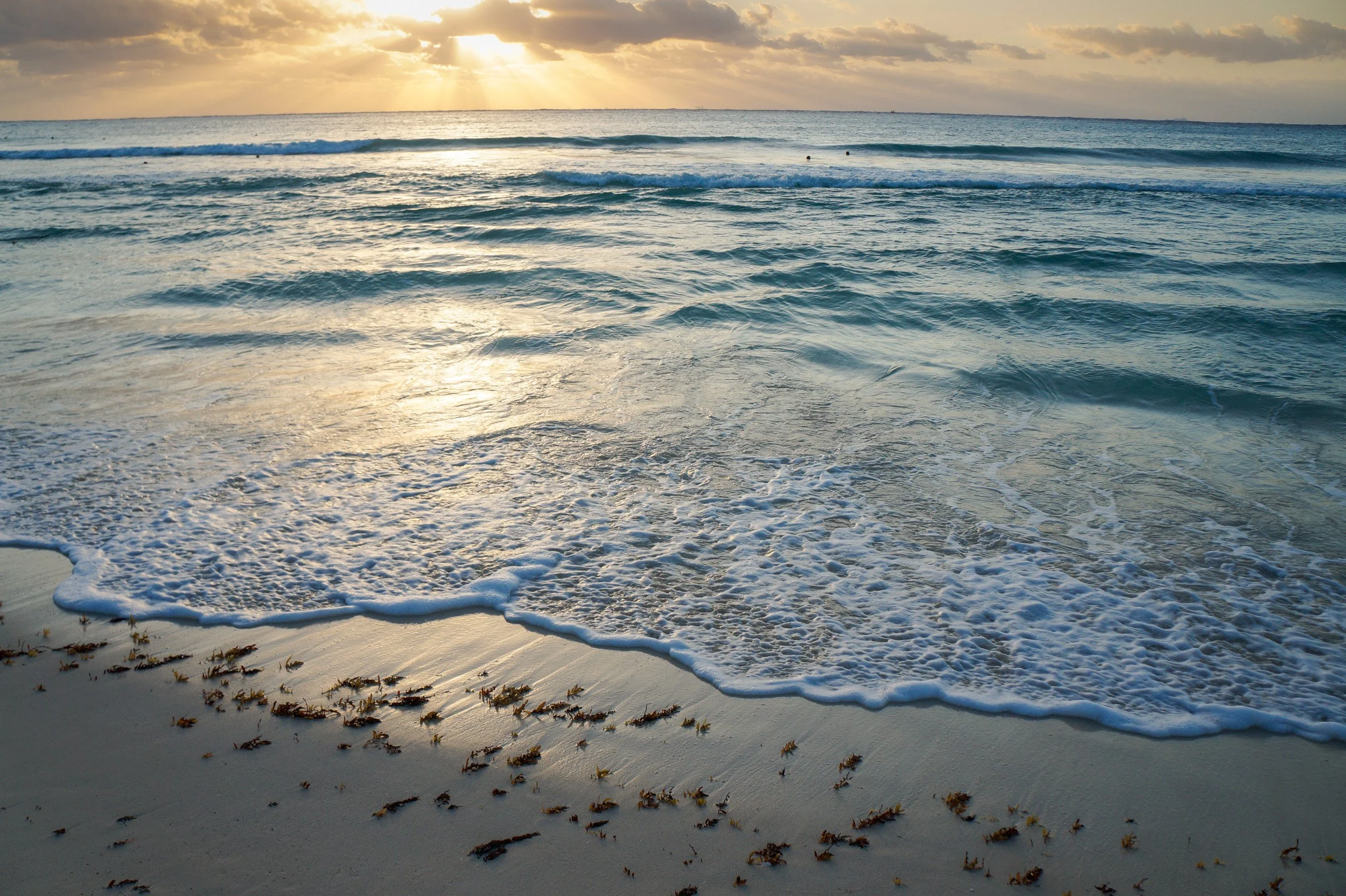 Sunset over the ocean with waves washing onto a sandy beach scattered with seaweed.