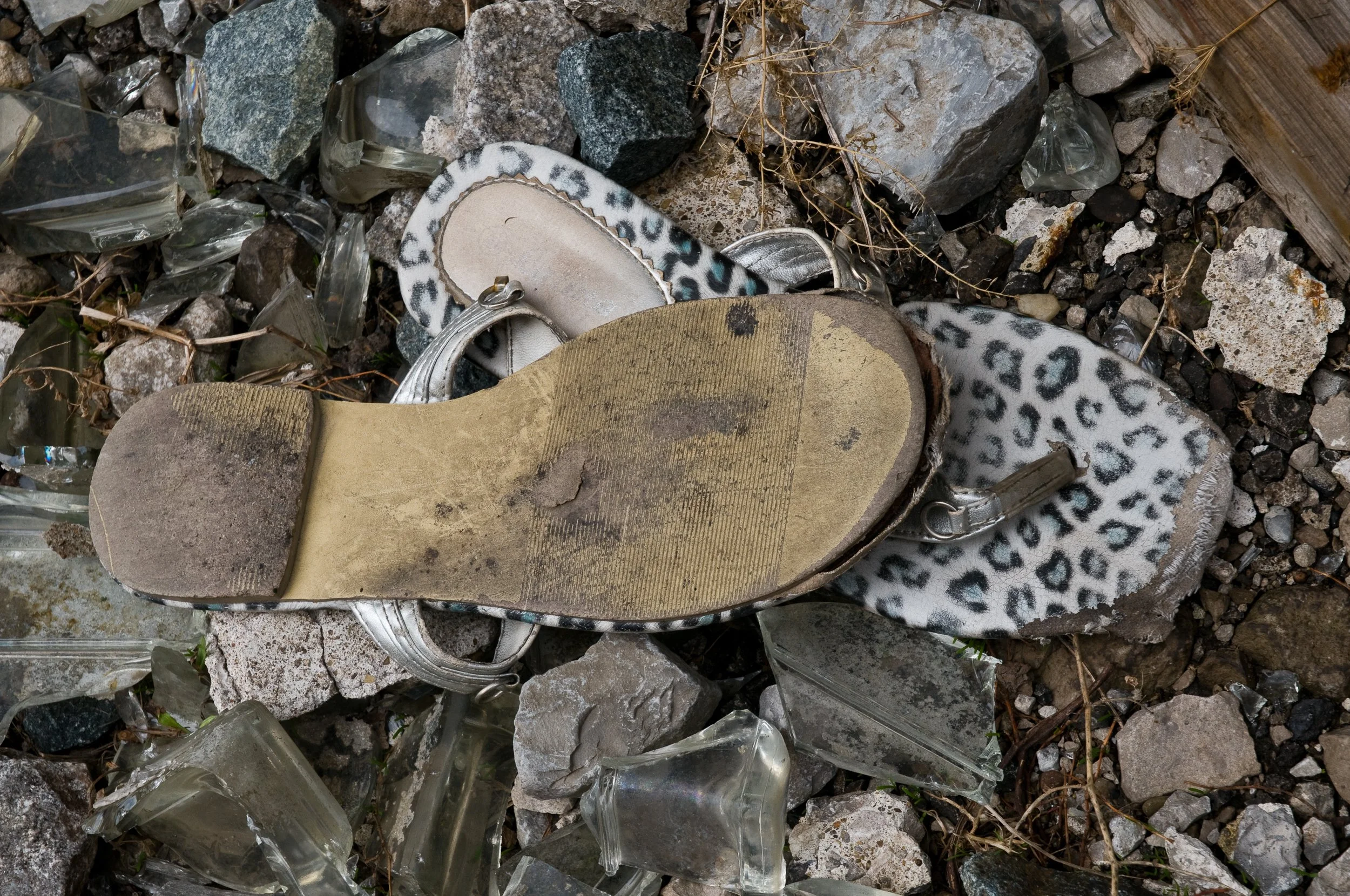 Abandoned Leopard Shoes