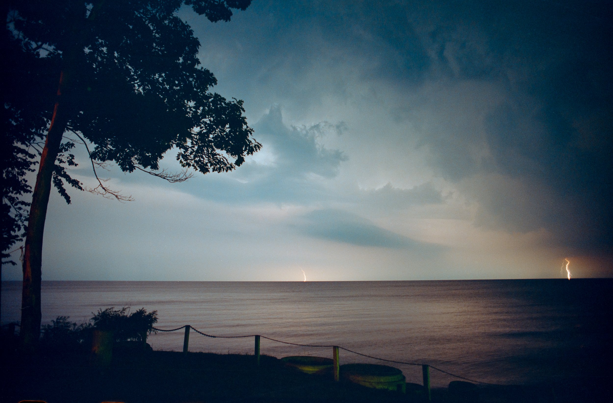 Madison Lightening w/ Tree