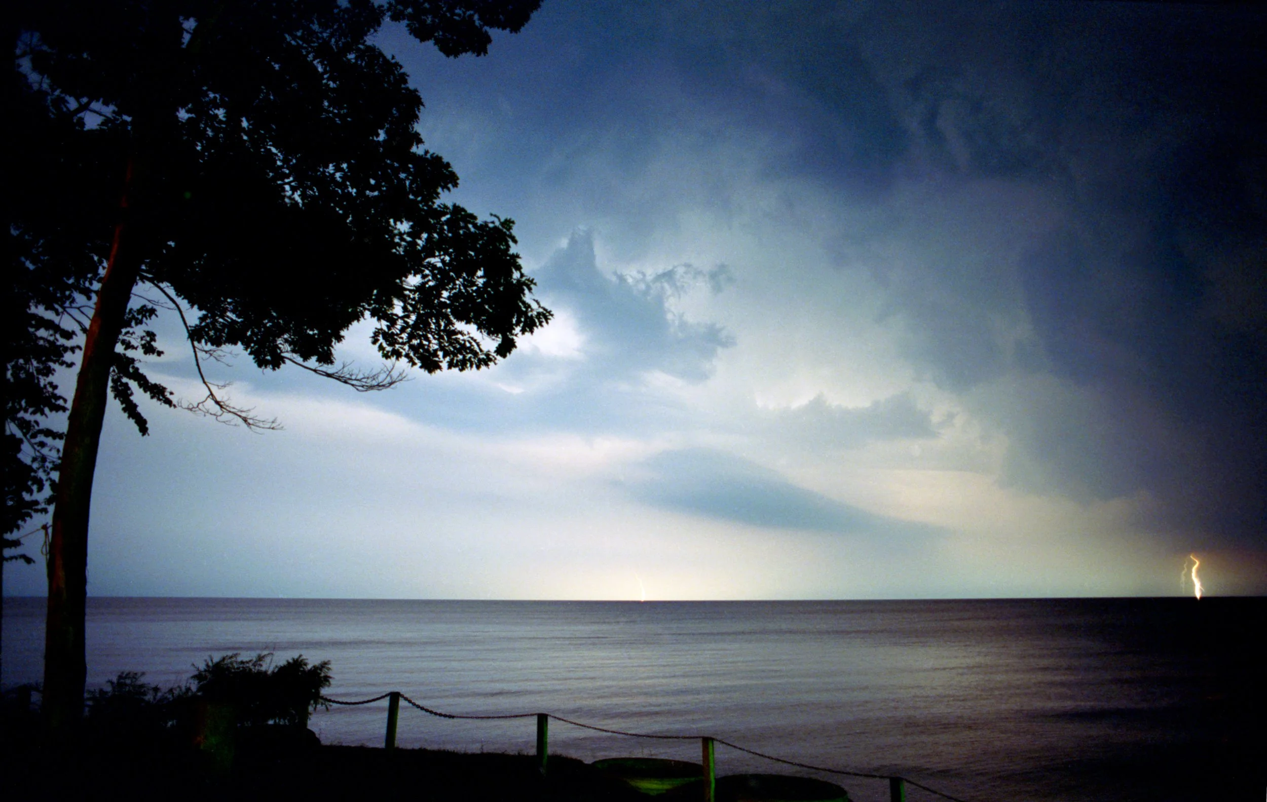 A stormy night at the beach with dark clouds, lightning strikes on the horizon, and a tree in the foreground.