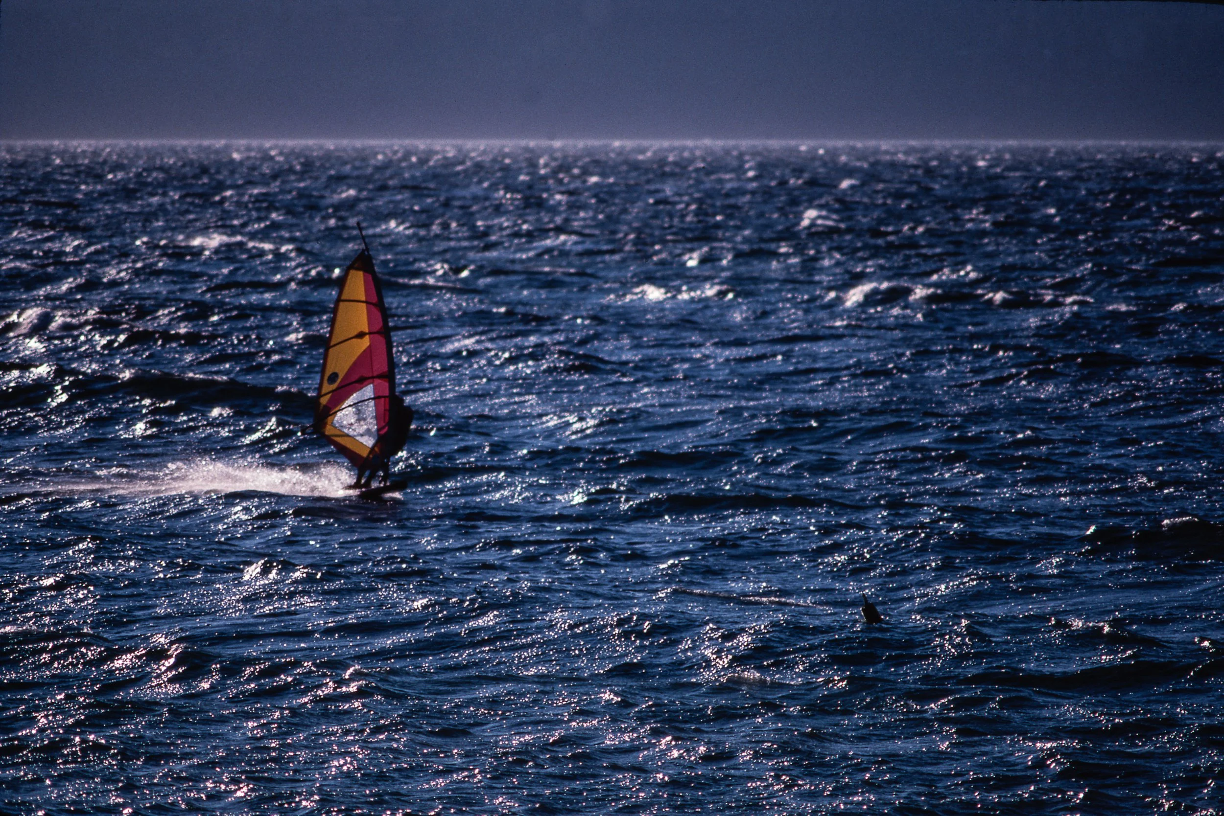 Windsurfer Puget Sound