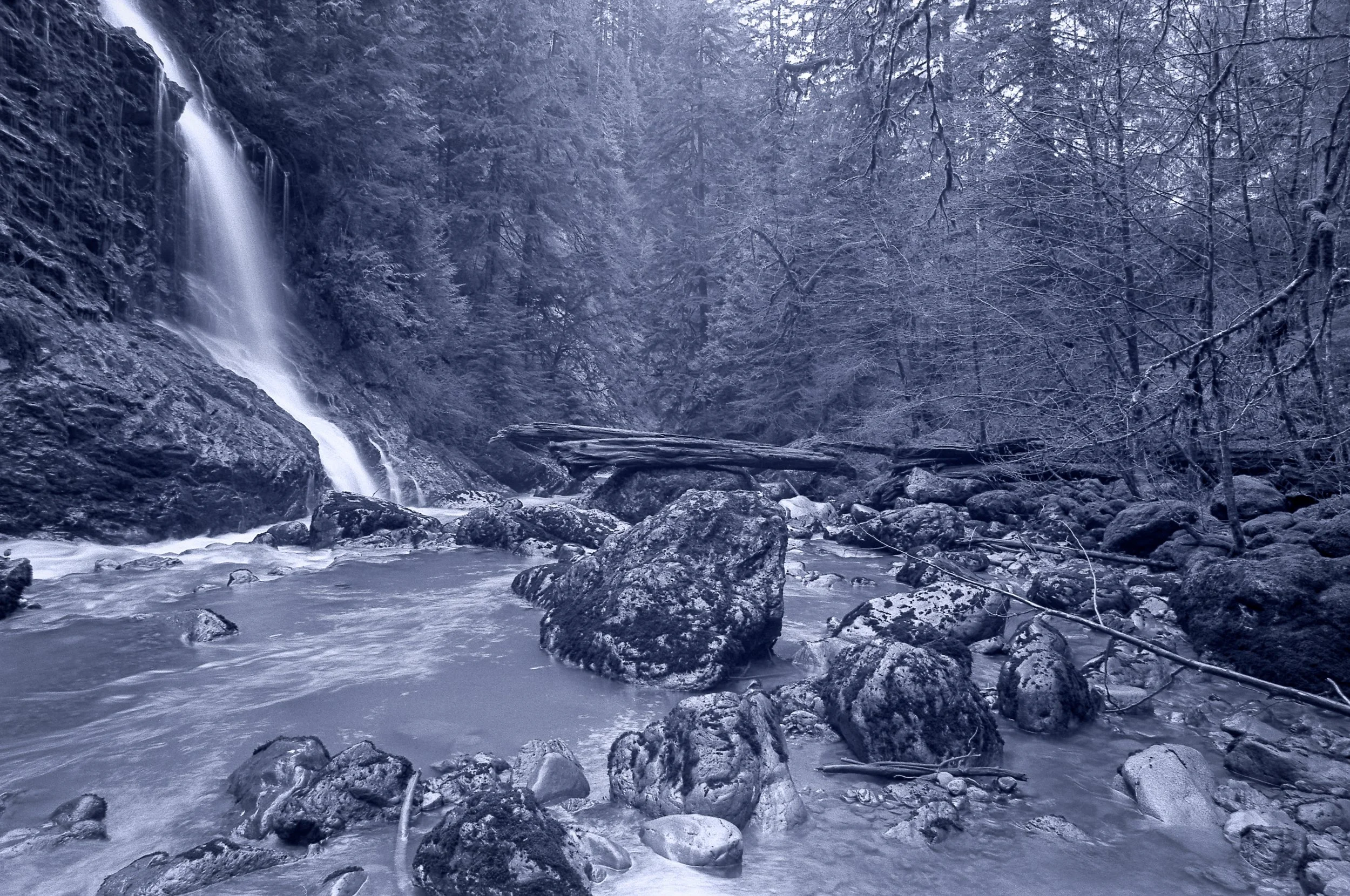 A scene of a cascading waterfall in a rain forest with rocks and fallen branches.