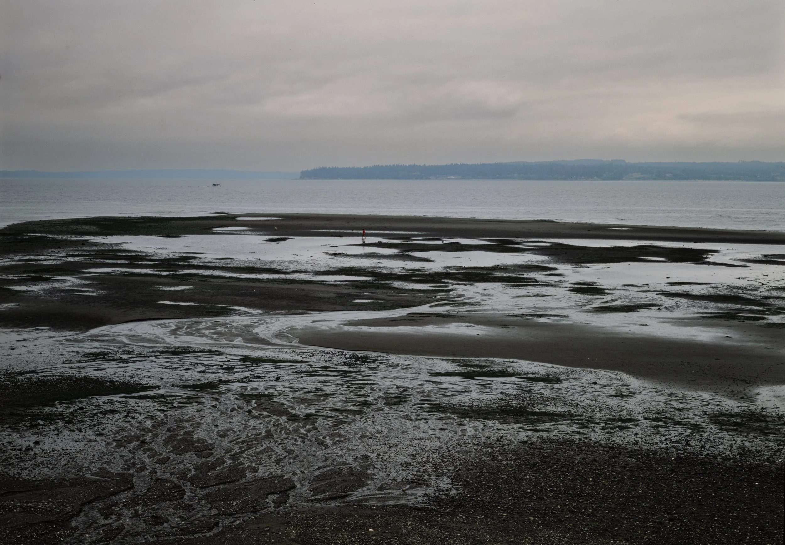 A cloudy overcast day at a beach with dark wet sand and tidal pools, with a single person or figure walking in the distance near the water and a boat on the water, with land visible in the background.