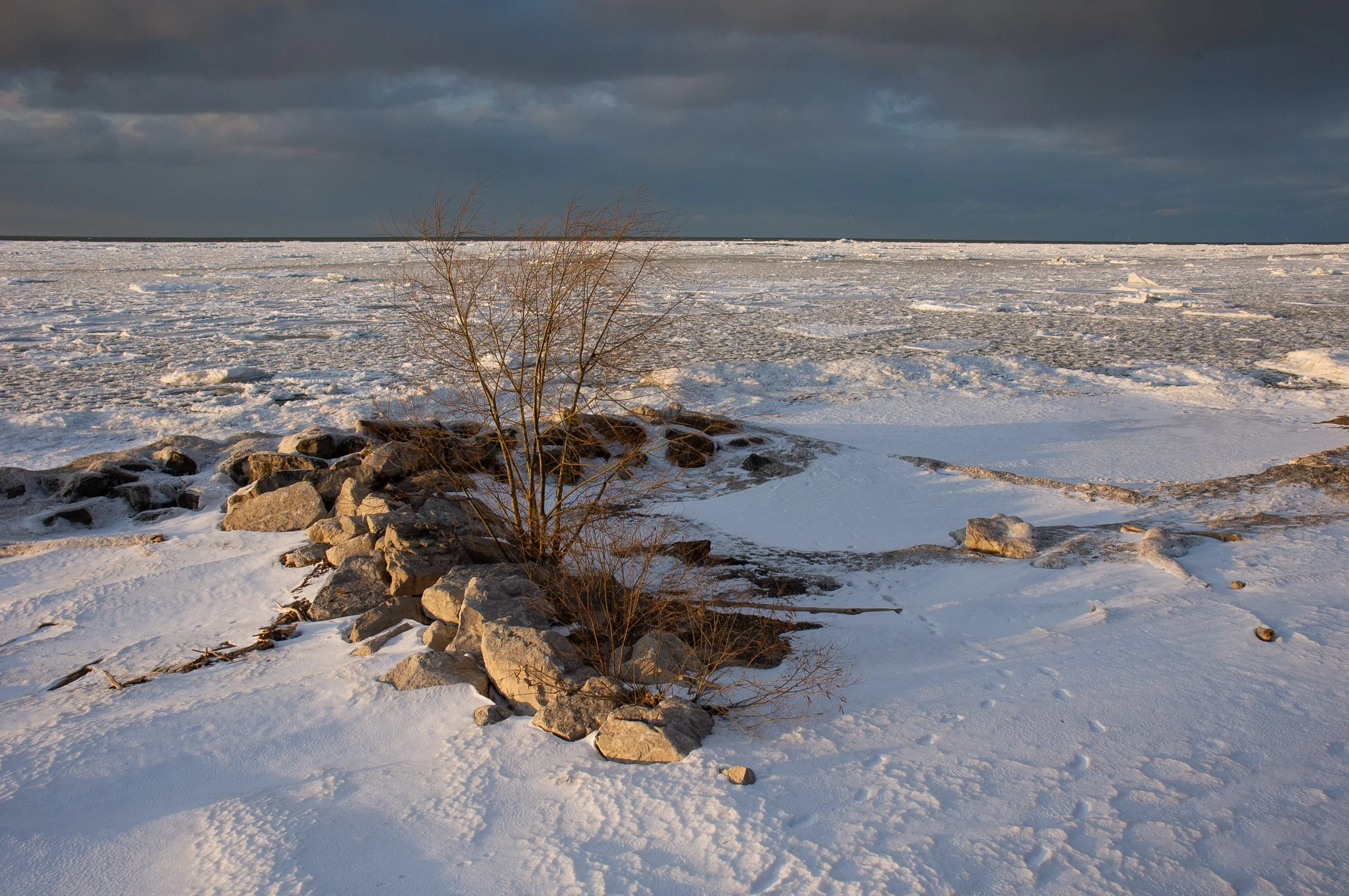 Wagar Beach with Ice Pack