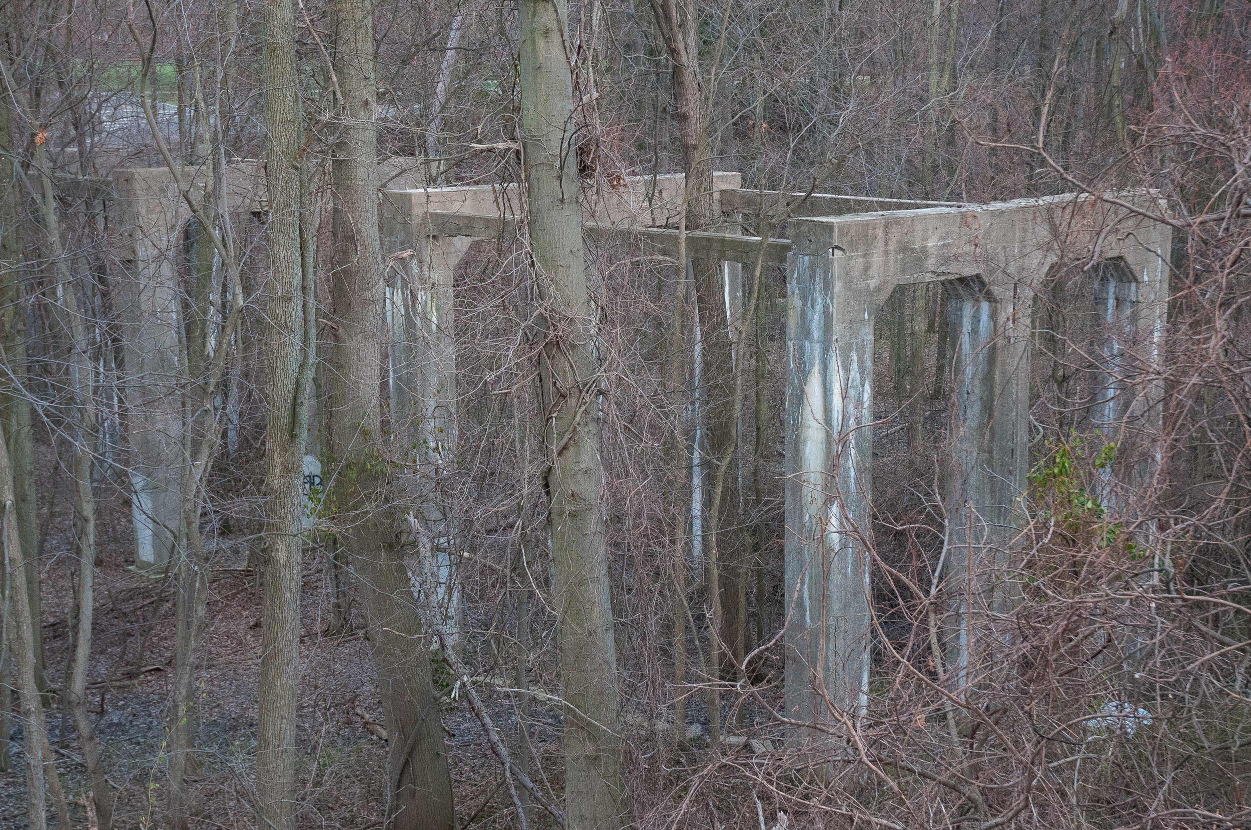Abandoned Railroad Tresel