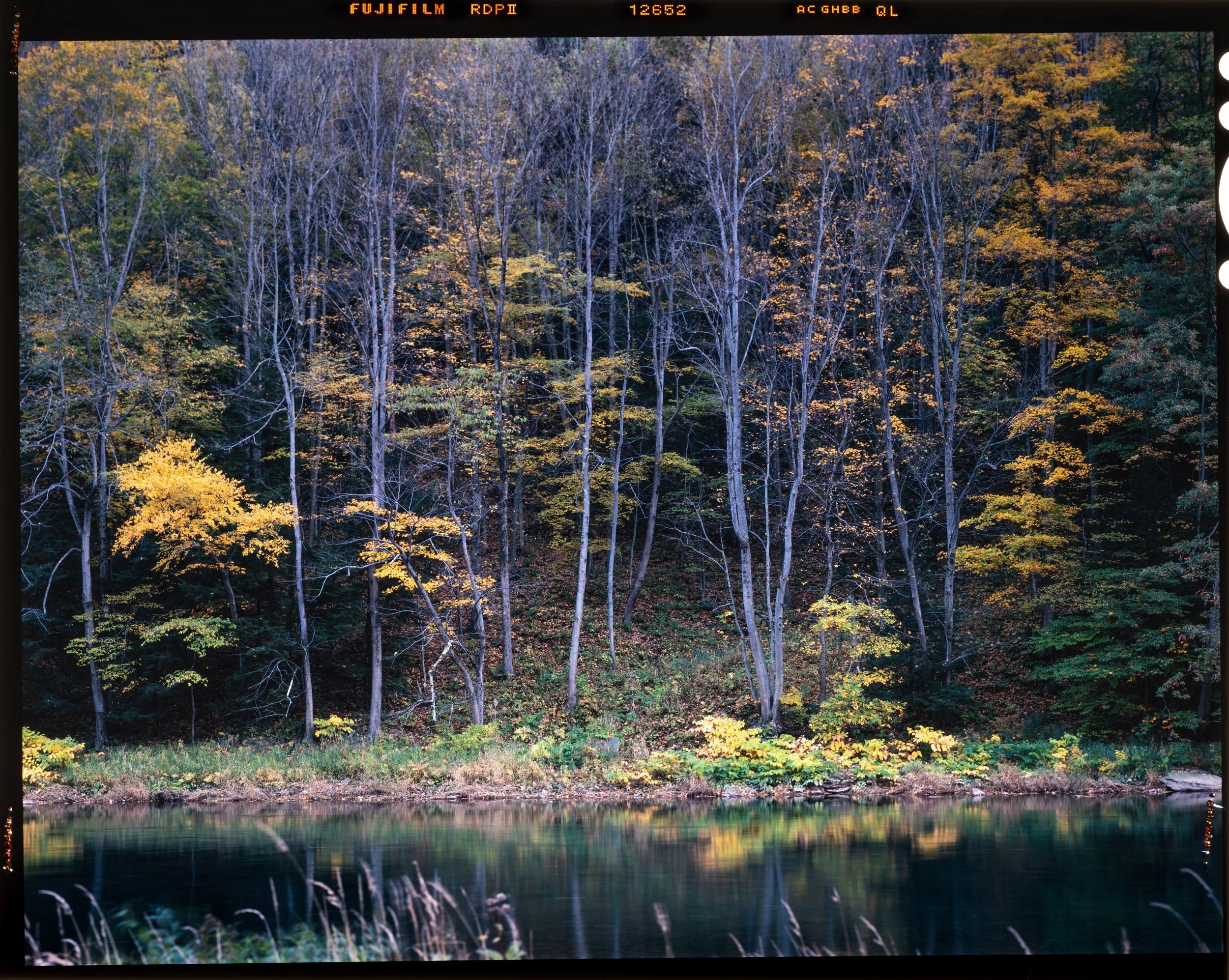 Pine River Gorge Fall