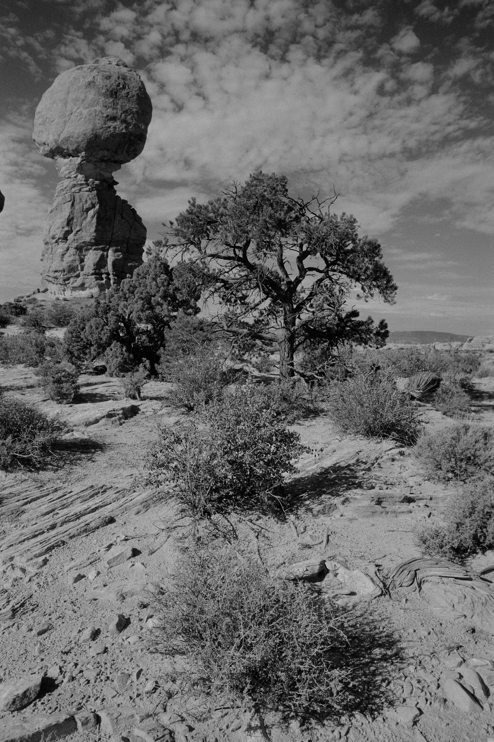 Balanced Rock  B/W