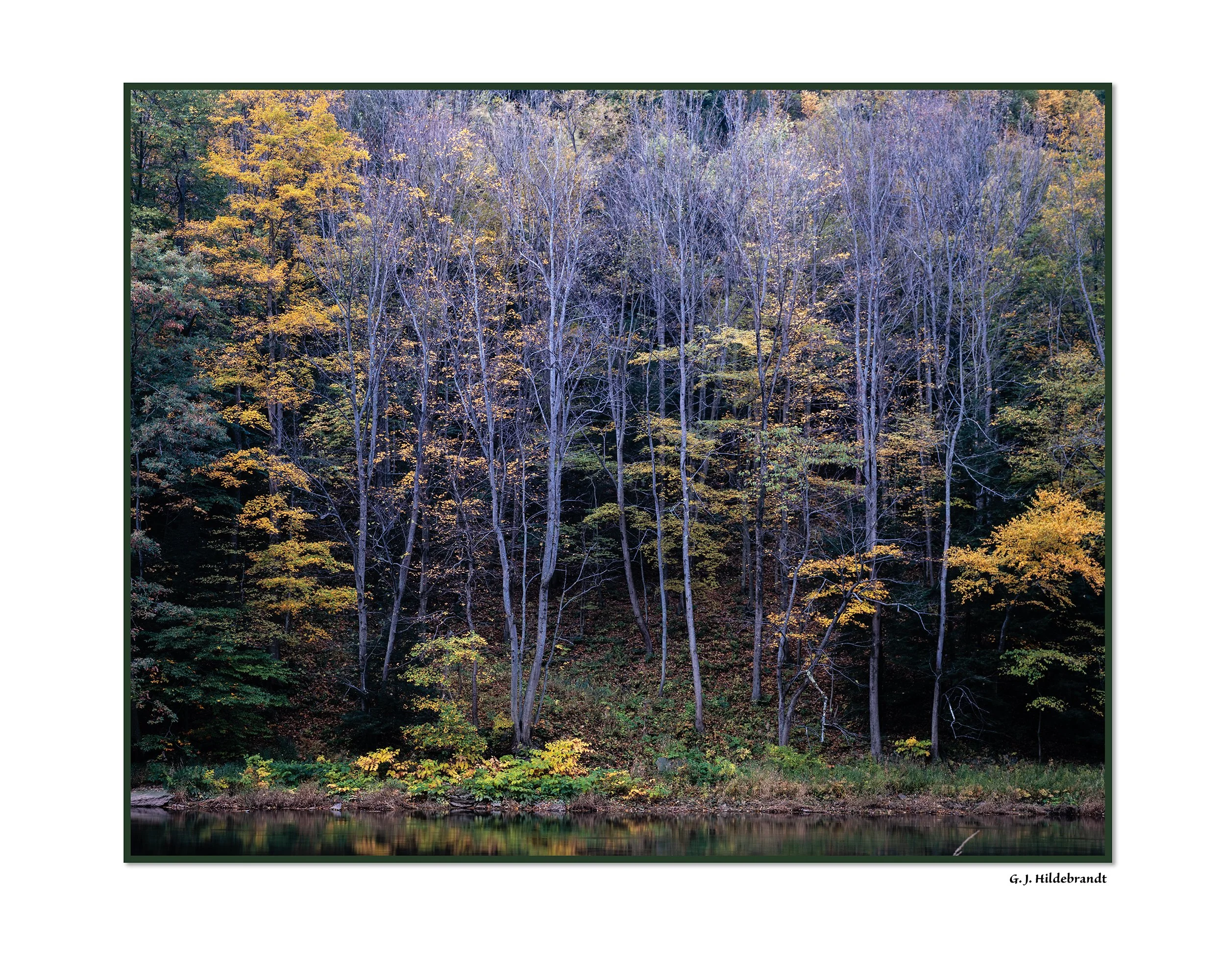 A forest scene in autumn with trees displaying fall foliage in colors of yellow, orange, and green reflected in a calm body of water.